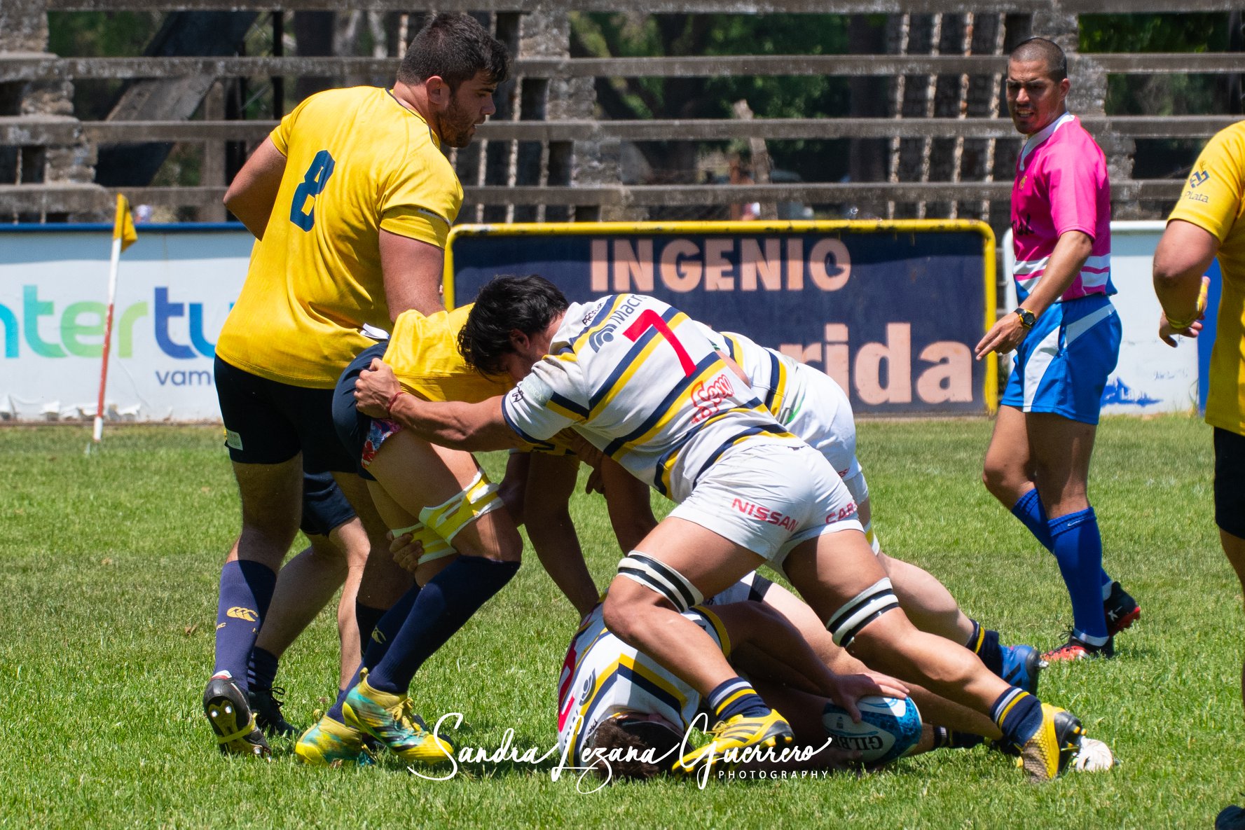  Tucumán Lawn Tennis Club - La Plata Rugby Club - Rugby - UAR - Nacional de Clubes 2019 - Tucuman Lawn Tennis (35) vs (50) La Plata RC (#UAR19NDCTLTLP10) Photo by: Sandra Lezana Guerrero | Siuxy Sports 2019-10-26
