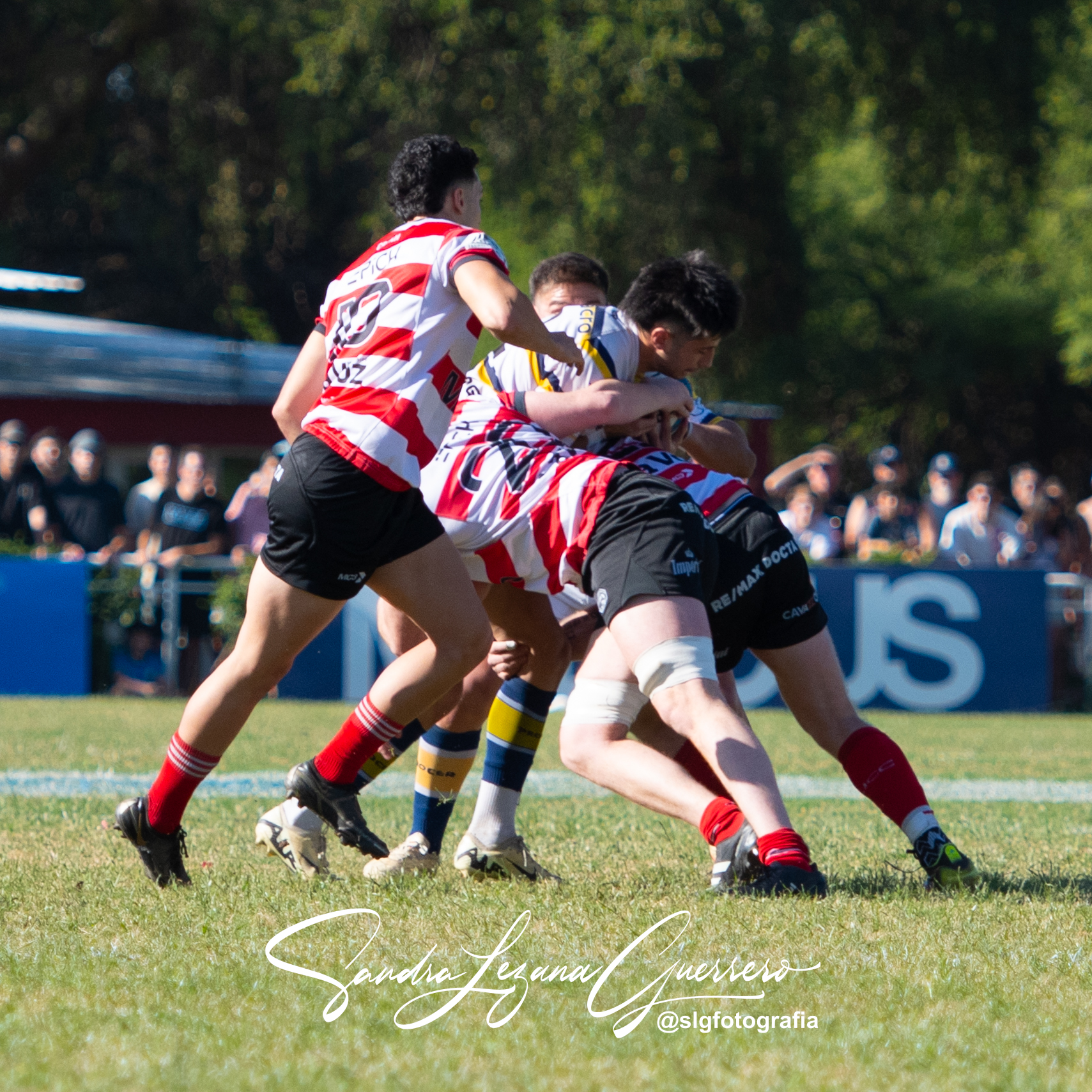  Jockey Club Córdoba - Tucumán Lawn Tennis Club - Rugby - UAR - Torneo del Interior 2024 - Final - Jockey Cordoba (24) vs (30) Tucuman Lawn Tennis (#UAR24TITLTCJC111) Photo by: Sandra Lezana Guerrero | Siuxy Sports 2024-11-09