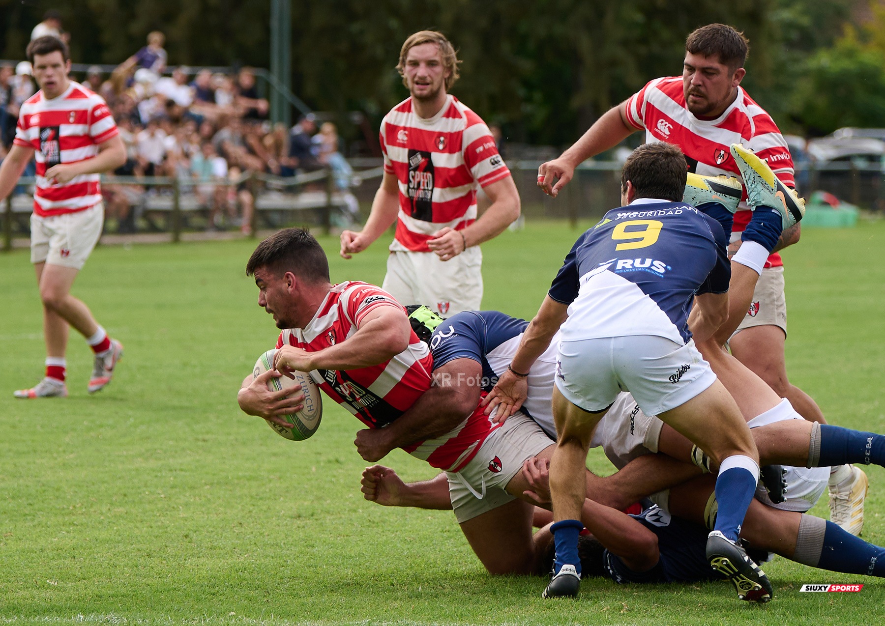  Asociación Alumni - Club Champagnat - Rugby - URBA 2024 - Top 12 PreA- Alumni (33) vs (17) Champagnat (#URBA24T12ALUCHA204) Photo by: Ximena Rebecchi | Siuxy Sports 2024-04-06