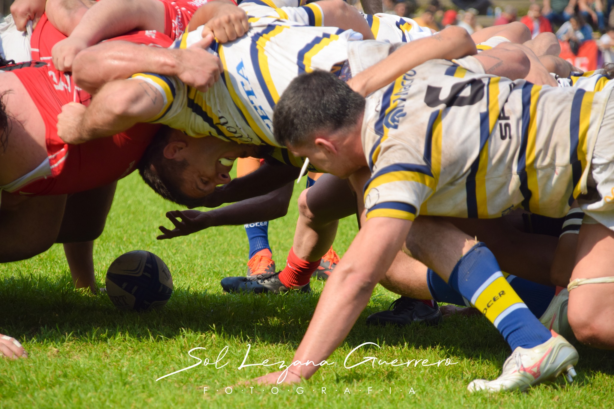  Tucumán Lawn Tennis Club - Los Tarcos Rugby Club - Rugby - NOA 2024 - Tucuman Lawn Tennis vs Los Tarcos RC (#NOA24TLTLT08) Photo by: Sandra Lezana Guerrero | Siuxy Sports 2024-08-17