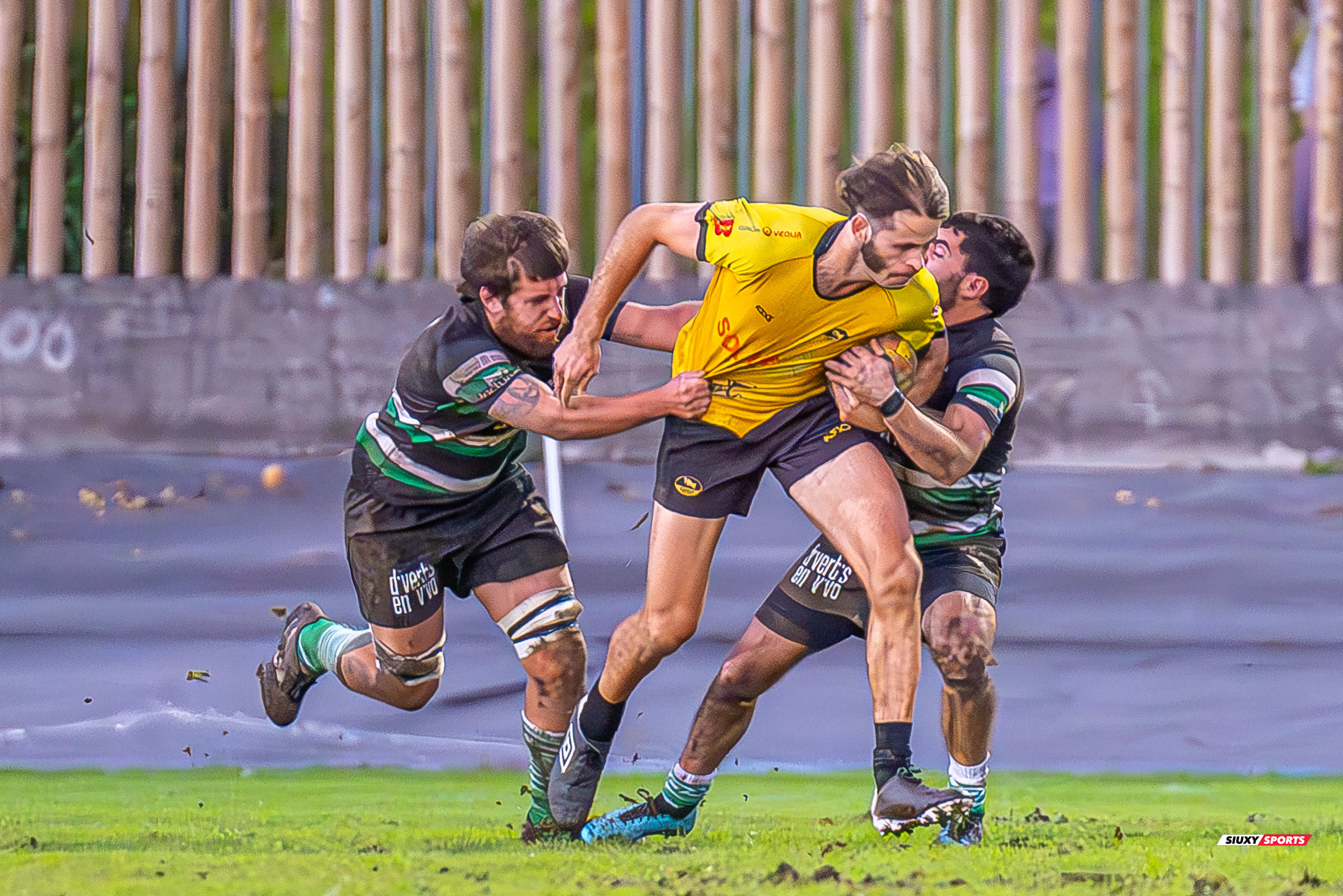  Getxo Artea Rugby Taldea - La Única Rugby Taldea - Rugby - FER 2024 - DHB - Getxo RT (91) vs (0) La Unica RT (#FER24DHBGRTLUR11) Photo by: Fredy Monfoto | Siuxy Sports 2023-11-04