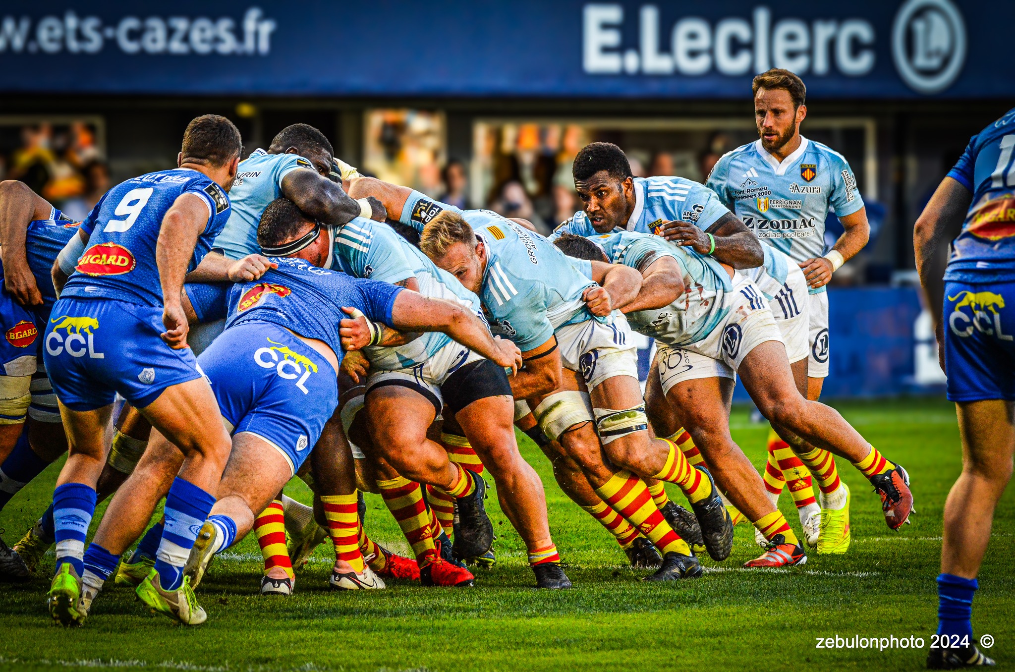  US Arlequins Perpignanais - Castres Olympique - Rugby - FFR 2024 - Top14 - USAP (43) vs (12) Castres  (#FFR24TOPPERCAS03) Photo by: Photo Zebulon | Siuxy Sports 2024-03-30