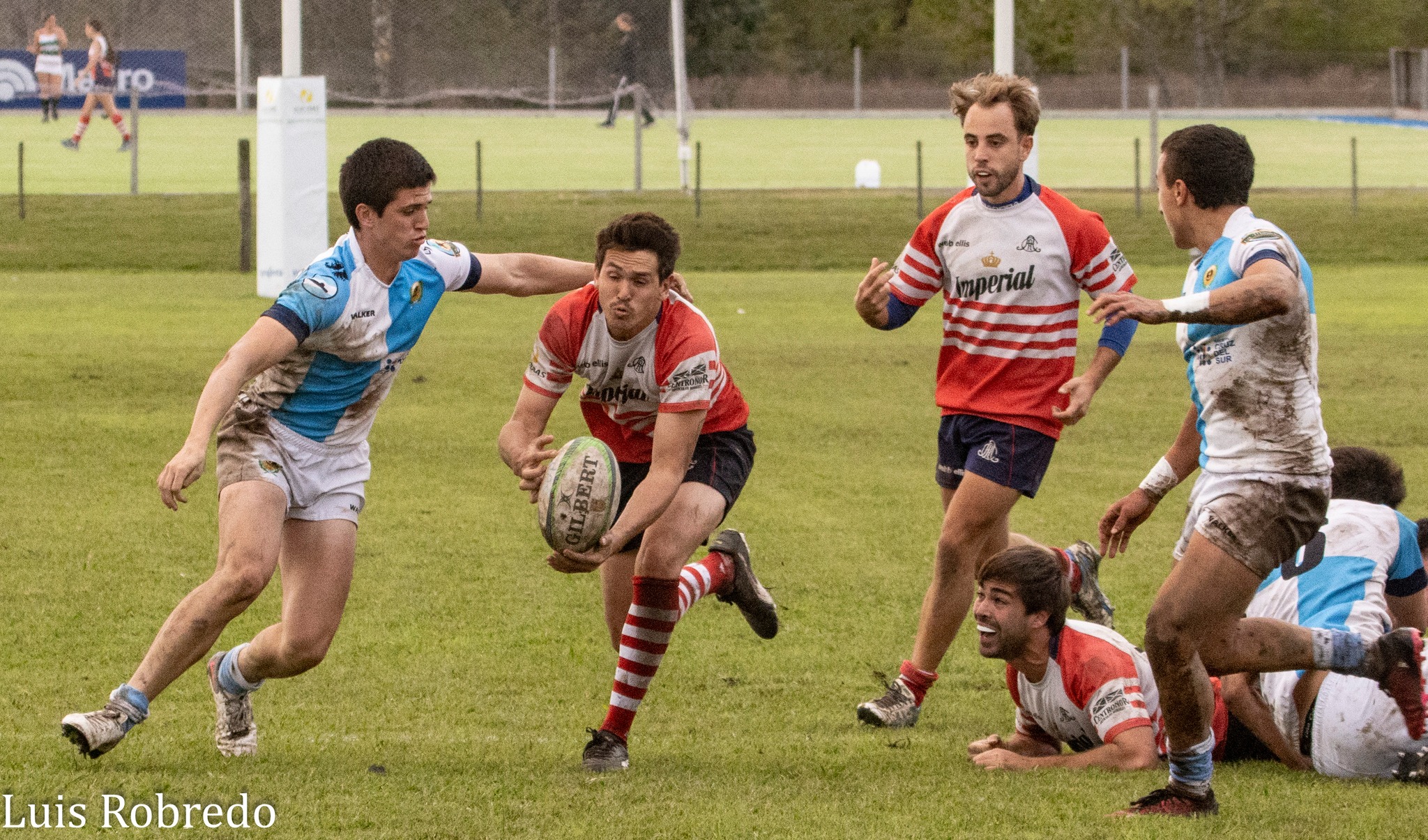  Areco Rugby Club - Centro Naval - Rugby - URBA 2024 - 1ra C - Areco RC (10) vs (45) Centro Naval (#URBA241CARECNA04) Photo by: Luis Robredo | Siuxy Sports 2024-04-26