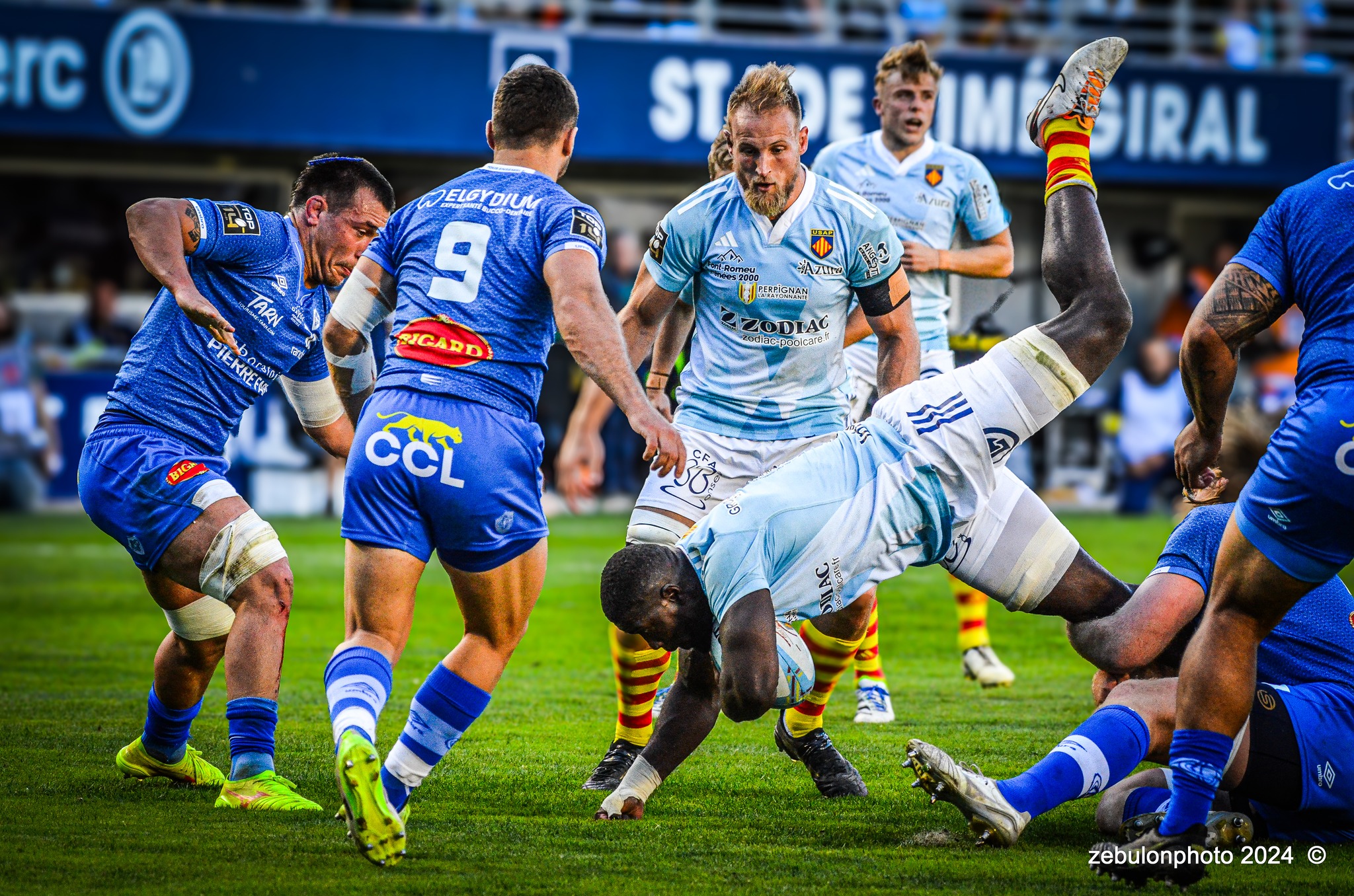  US Arlequins Perpignanais - Castres Olympique - Rugby - FFR 2024 - Top14 - USAP (43) vs (12) Castres  (#FFR24TOPPERCAS03) Photo by: Photo Zebulon | Siuxy Sports 2024-03-30