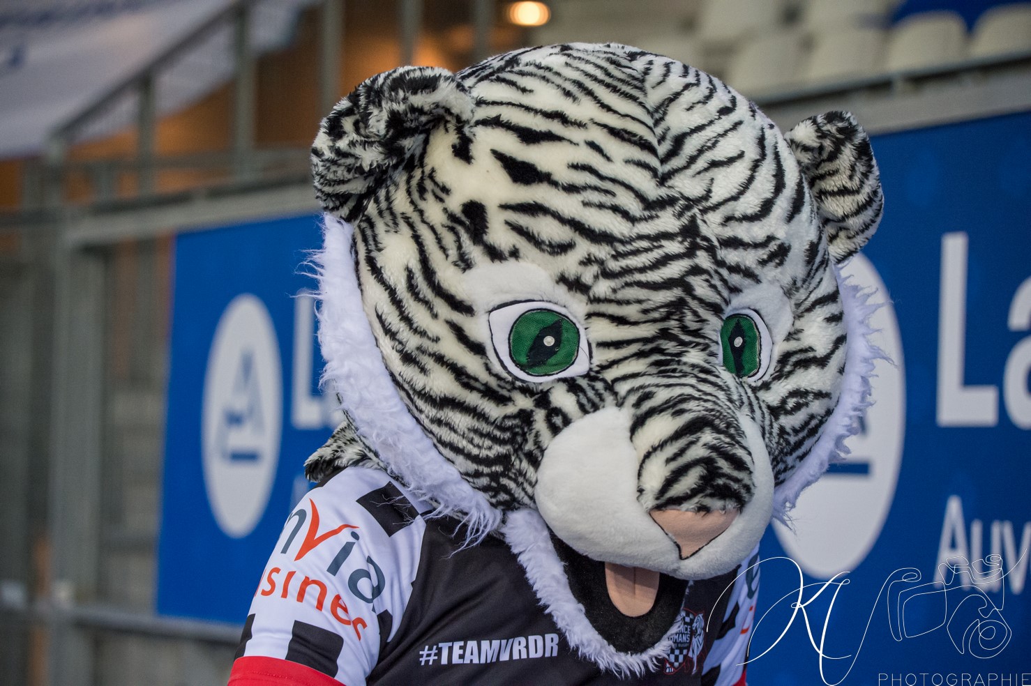  FC Grenoble Rugby - Valence Romans DR - Rugby - PRO D2 2024 - FC Grenoble (44) vs (22) Valence Romans DR (#PROD224FCGVRDR10) Photo by: Karine Valentin | Siuxy Sports 2024-10-11