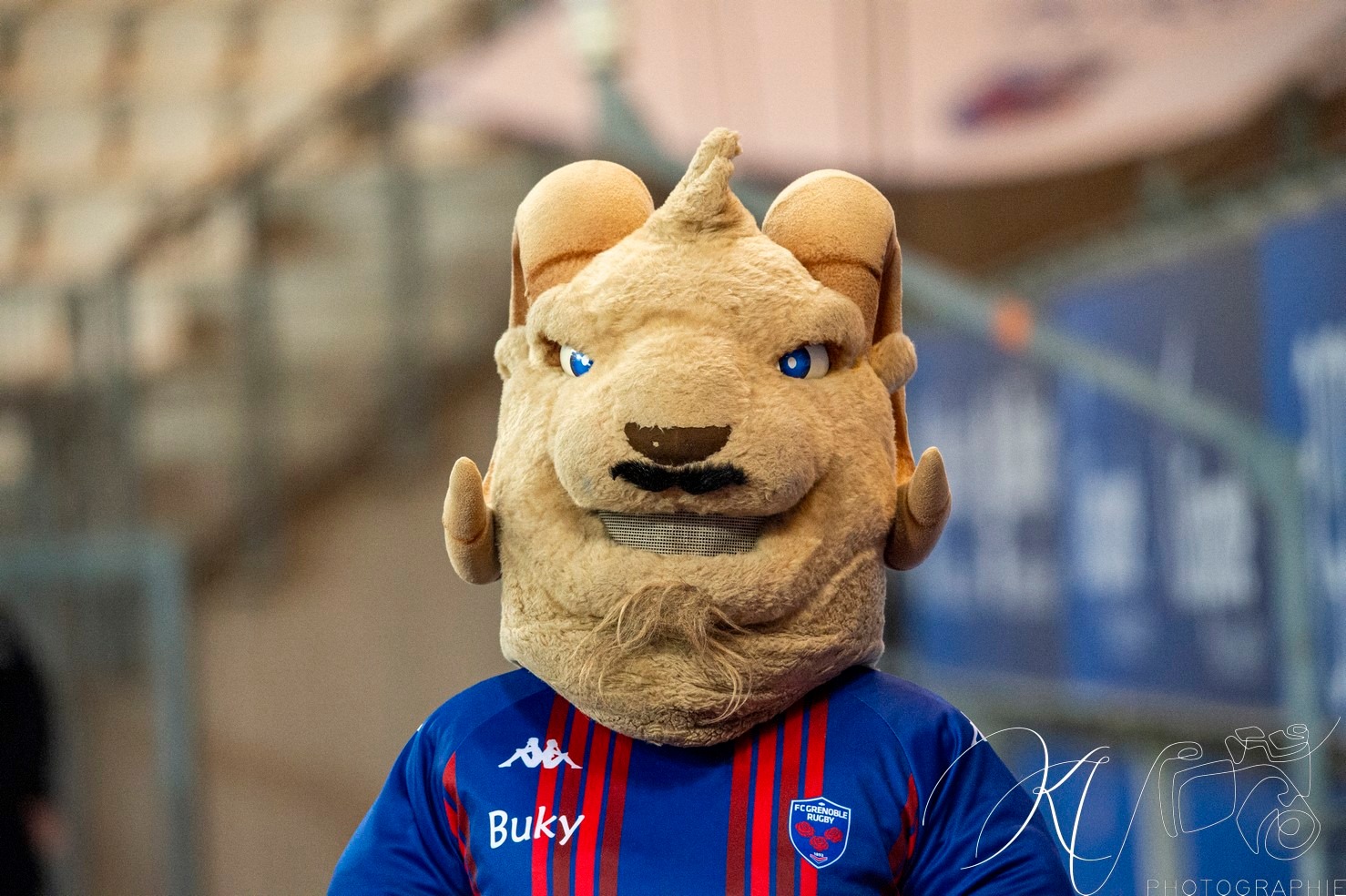  FC Grenoble Rugby - Soyaux Angoulême - Rugby - FFR 2024 - Pro D2 - FC Grenoble Rugby (37) vs (7) Soyaux Angouleme (#PD224PD2FCGSO11) Photo by: Karine Valentin | Siuxy Sports 2024-11-15