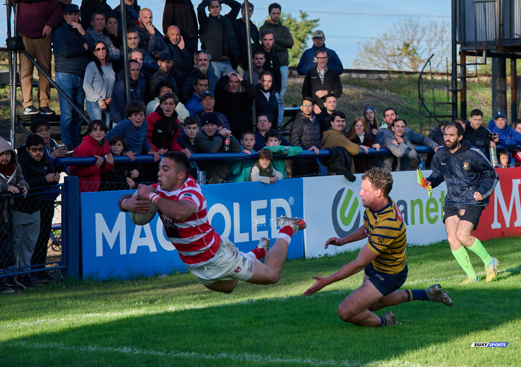  Club Regatas de Bella Vista - Asociación Alumni - Rugby - URBA 2024 - TOP 12 Superior -  Regatas de BV (13) vs (18) Asociacion Alumni  (#URBA24T12ALURBV04) Photo by: Ximena Rebecchi | Siuxy Sports 2024-04-27
