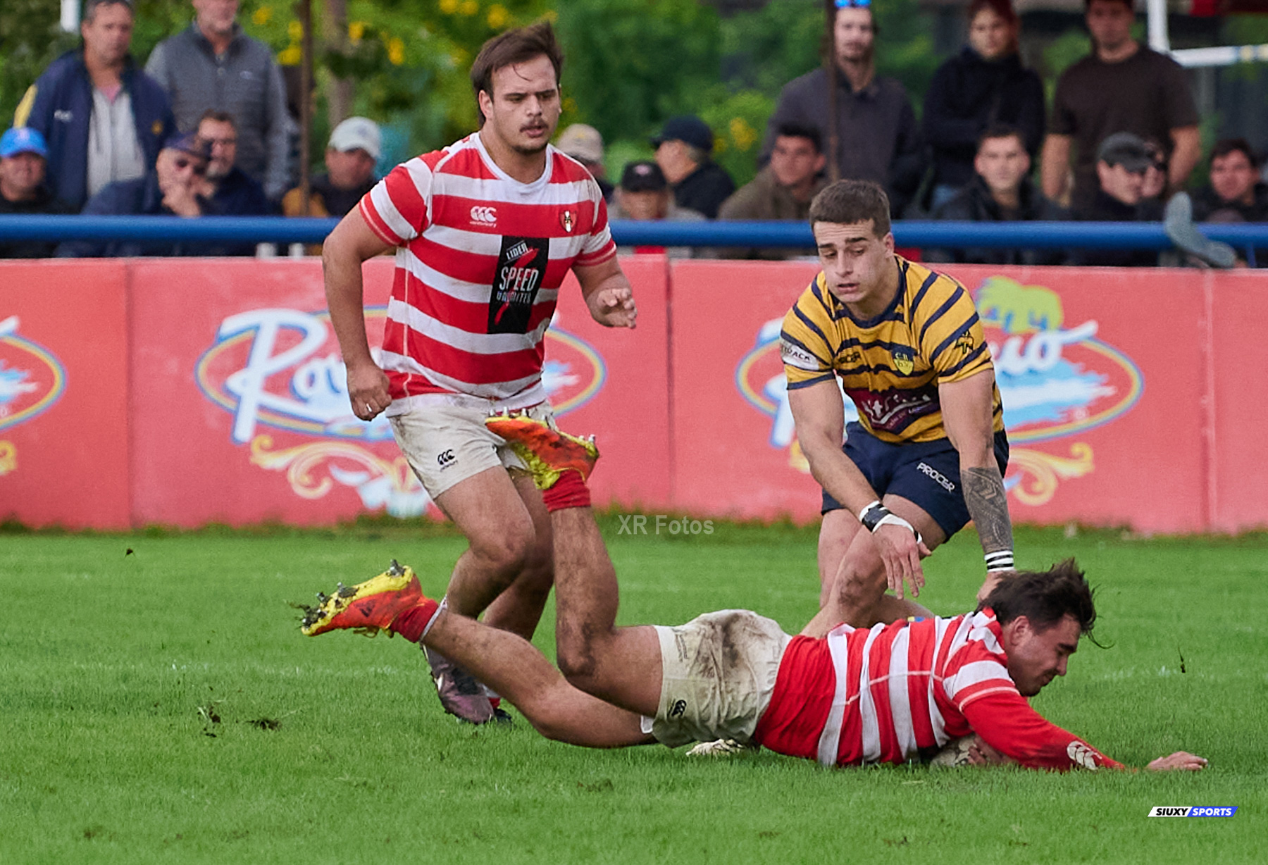  Club Regatas de Bella Vista - Asociación Alumni - Rugby - URBA 2024 - Top 12 Intermedia - Regatas BV (19) vs (26) Asociacion Alumni (#URBA24T12ALURBV14) Photo by: Ximena Rebecchi | Siuxy Sports 2024-04-27