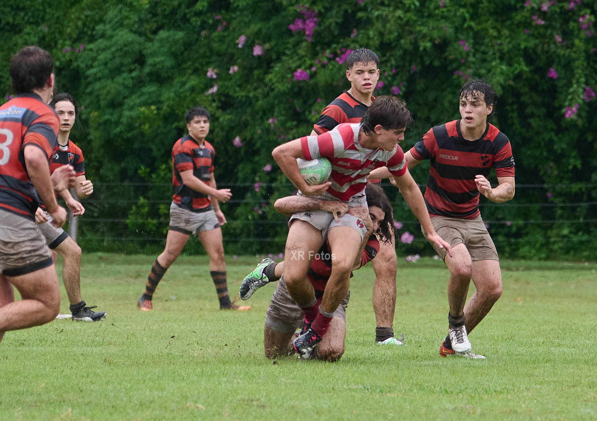  Asociación Alumni - Olivos Rugby Club - Rugby - URBA M19 - 2024 - Alumni vs Olivos RC (#URBA24M19AAORC04) Photo by: Ximena Rebecchi | Siuxy Sports 2024-04-14