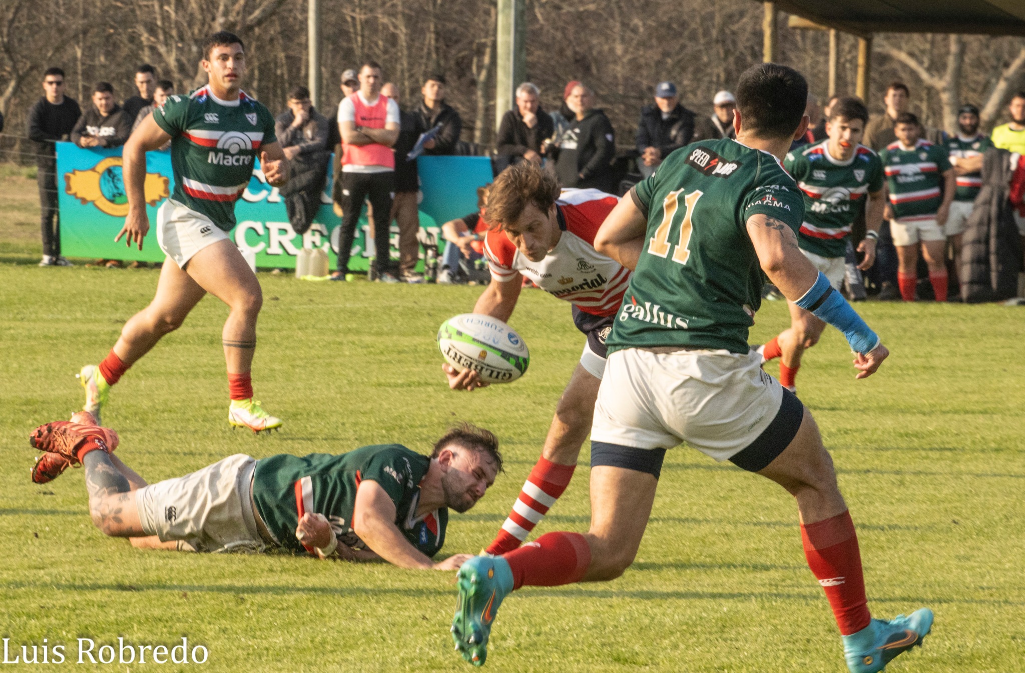  Areco Rugby Club - Sociedad Italiana de Tiro al Segno - Rugby - URBA 2024 - 1C - Areco (14) vs (59) SITAS (#URBA241CARESIT08) Photo by: Luis Robredo | Siuxy Sports 2024-08-17