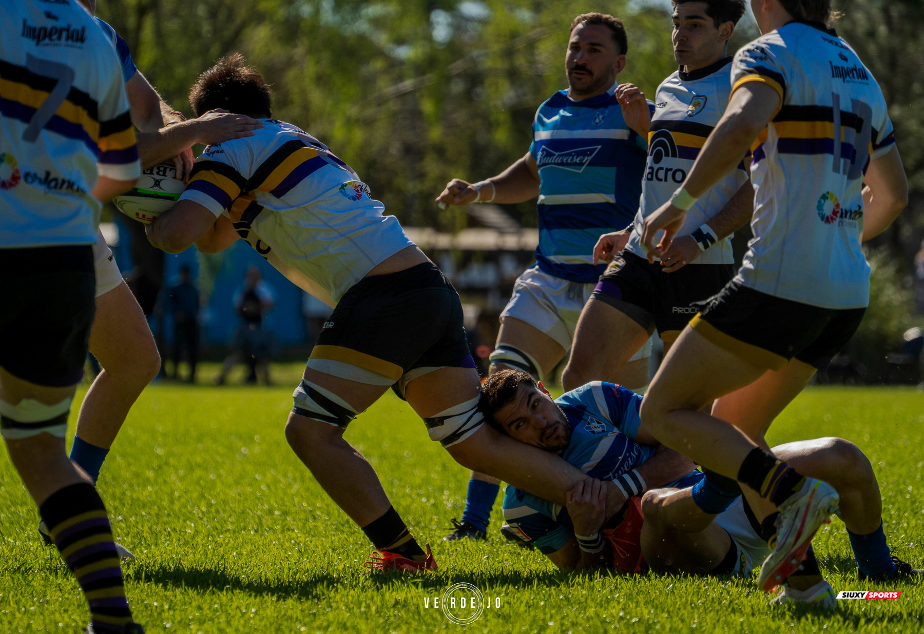  Luján Rugby Club - Club Atlético San Antonio de Padua - Rugby - URBA - 1C - Lujan RC vs CASA de Padua - Sep 14 (#URBA1CLRCPAD09) Photo by: Ignacio Verdejo | Siuxy Sports 2024-09-14