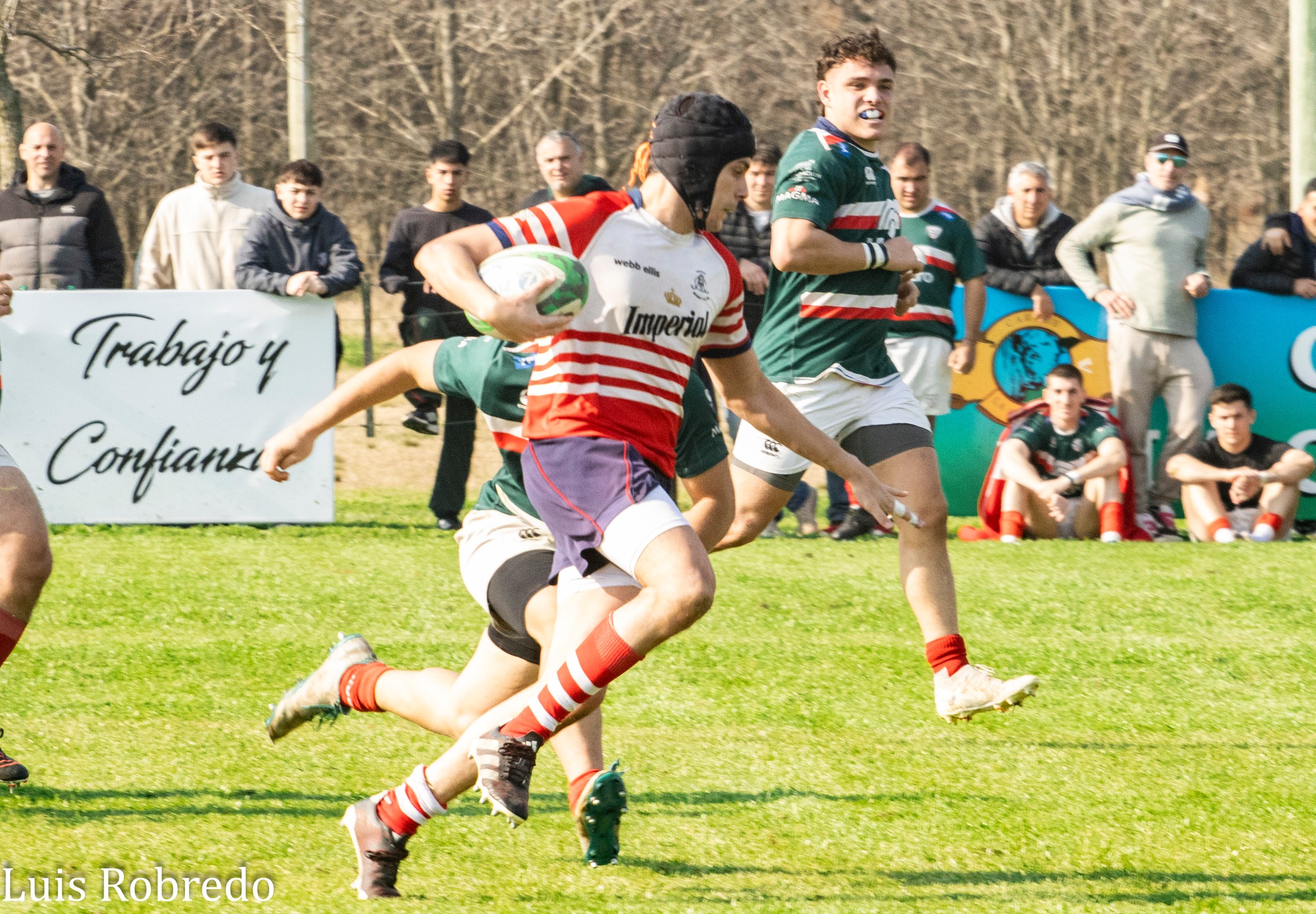  Areco Rugby Club - Sociedad Italiana de Tiro al Segno - Rugby - URBA 2024 - 1C - Areco (14) vs (59) SITAS (#URBA241CARESIT08) Photo by: Luis Robredo | Siuxy Sports 2024-08-17