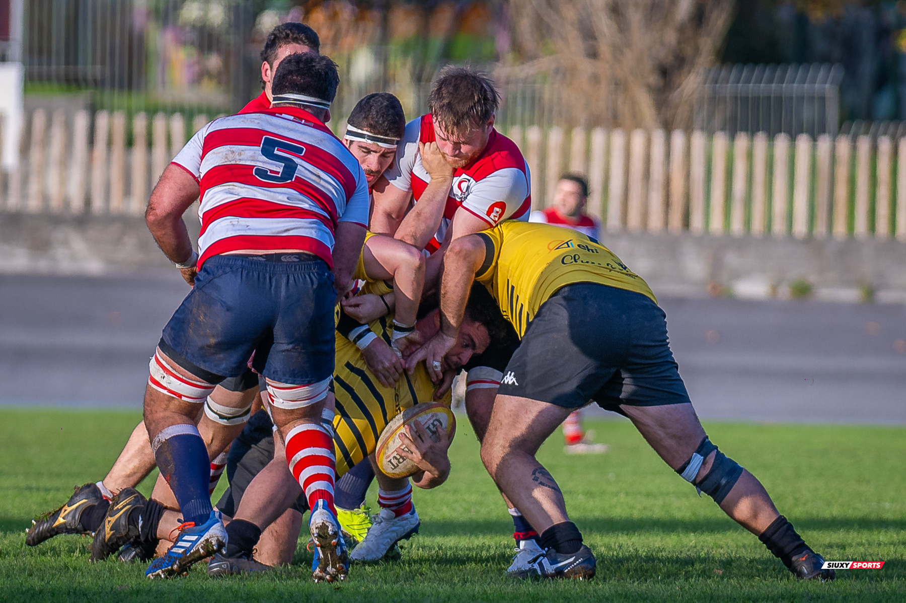 Getxo Artea Rugby Taldea - Universitario Bilbao Rugby - Rugby - FER 2024 - DHB - Getxo RT (35) vs (14) Universitario Bilbao Rugby (#FER24DHBGRTUBR11) Photo by: Fredy Monfoto | Siuxy Sports 2024-11-30