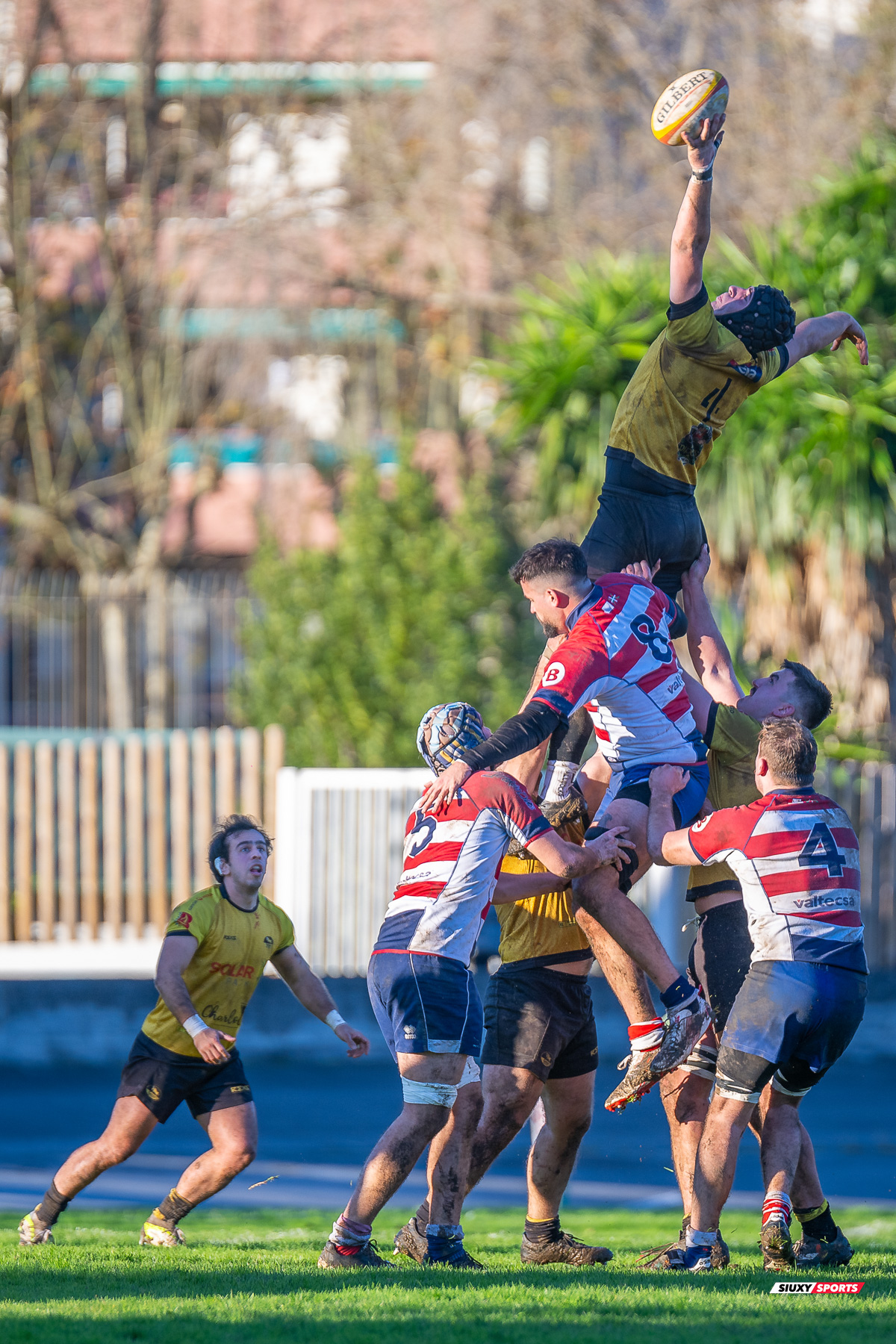 Pablo NOLASCO PEREZ -  Getxo Artea Rugby Taldea - Universitario Bilbao Rugby - Rugby - FER 2023 - DHB - Getxo Artea RT (19) vs (13) Universitario Bilbao Rugby (#FER23DHBGETUBR12) Photo by: Fredy Monfoto | Siuxy Sports 2023-12-16