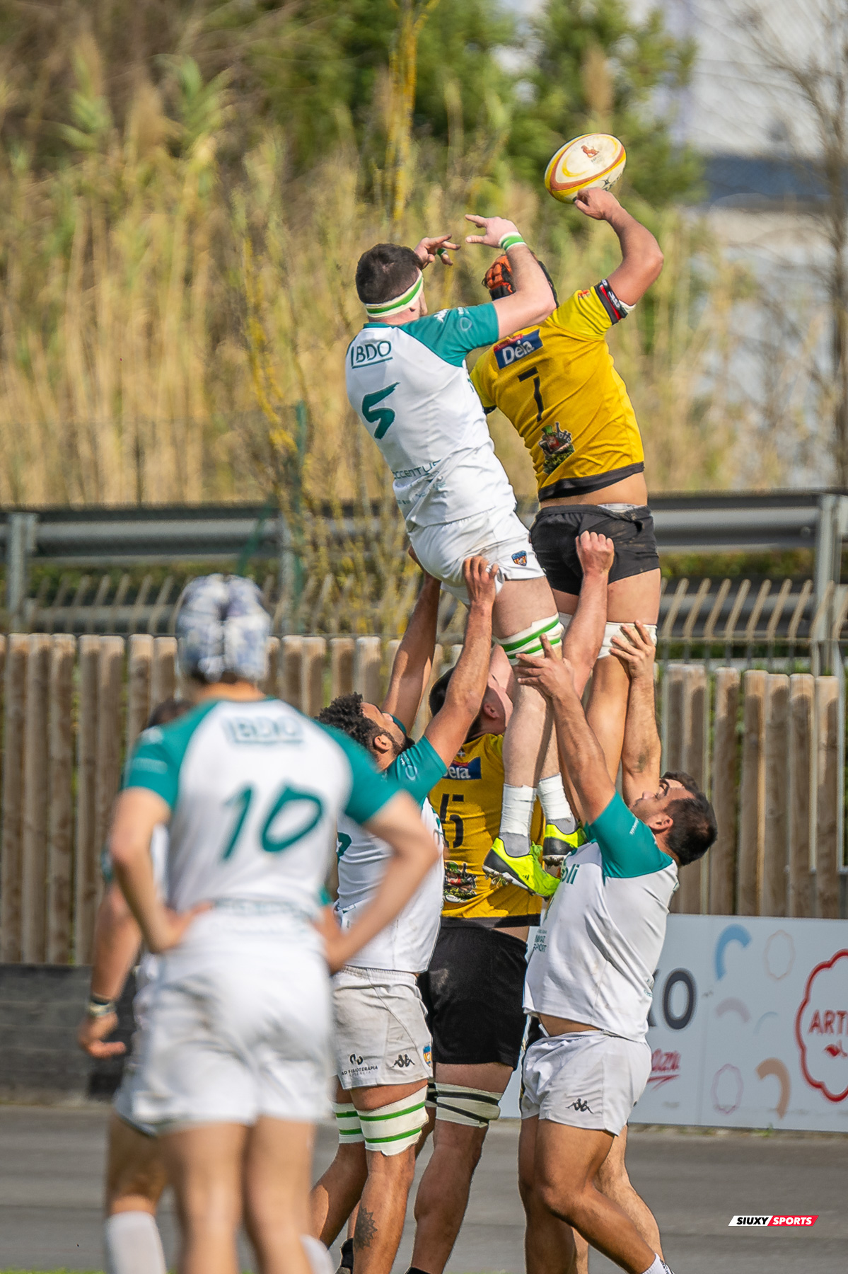  Getxo Artea Rugby Taldea - Rugby Club Valencia - Rugby - FER 2024 - DHB - Getxo RT (14) vs (16) Valencia RC (#FER24DHBGRTVRC01) Photo by: Fredy Monfoto | Siuxy Sports 2024-01-28