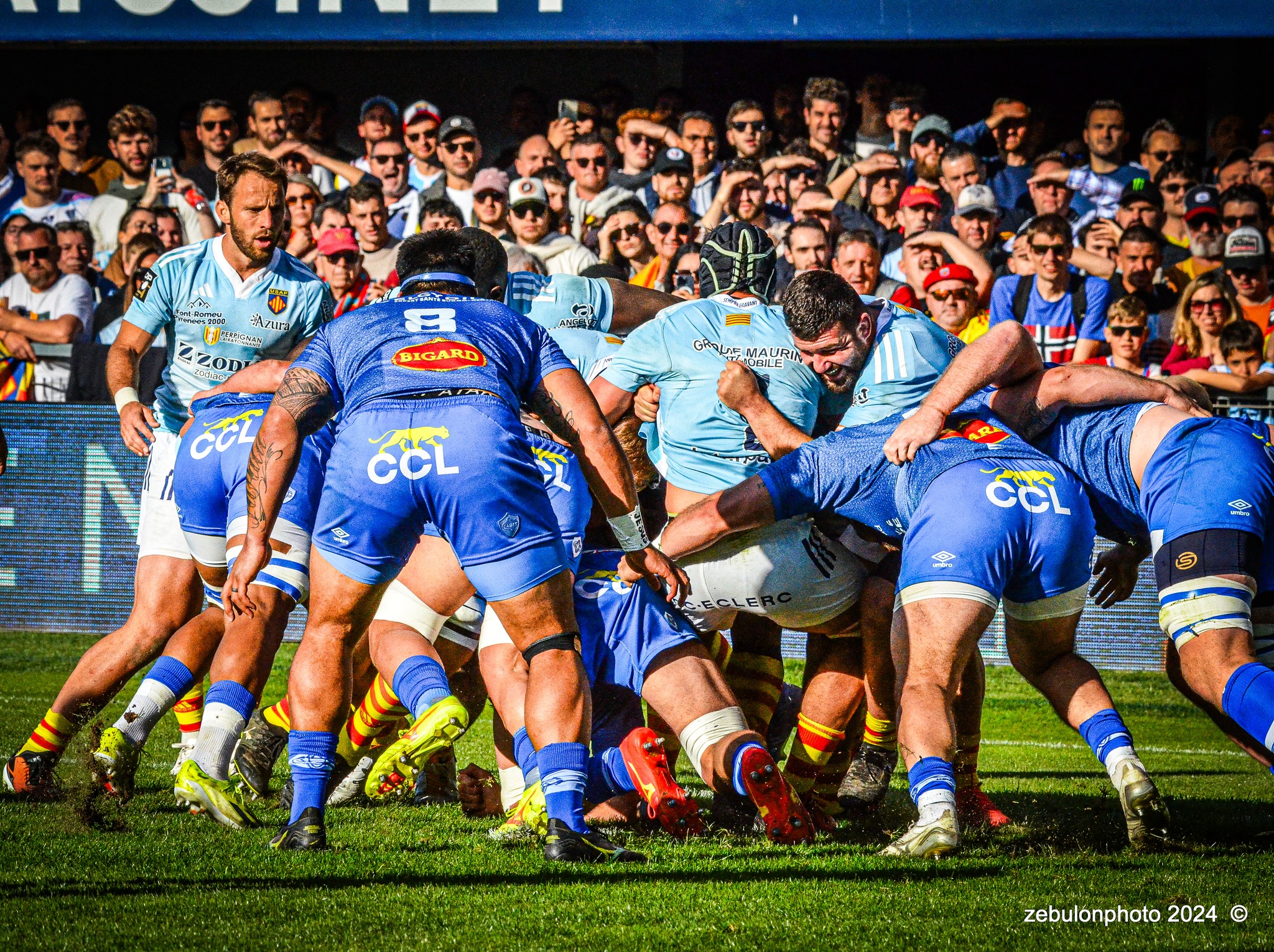  US Arlequins Perpignanais - Castres Olympique - Rugby - FFR 2024 - Top14 - USAP (43) vs (12) Castres  (#FFR24TOPPERCAS03) Photo by: Photo Zebulon | Siuxy Sports 2024-03-30