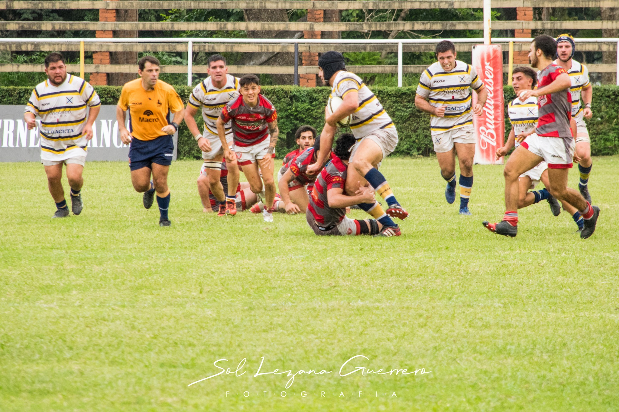  Tucumán Lawn Tennis Club - Lince Rugby Club - Rugby - URT 2024 - Tucuman Lawn Tennis Club (52) vs (27) Lince Rugby Club (#URT24TLTCLRC04) Photo by: Sandra Lezana Guerrero | Siuxy Sports 2024-04-20