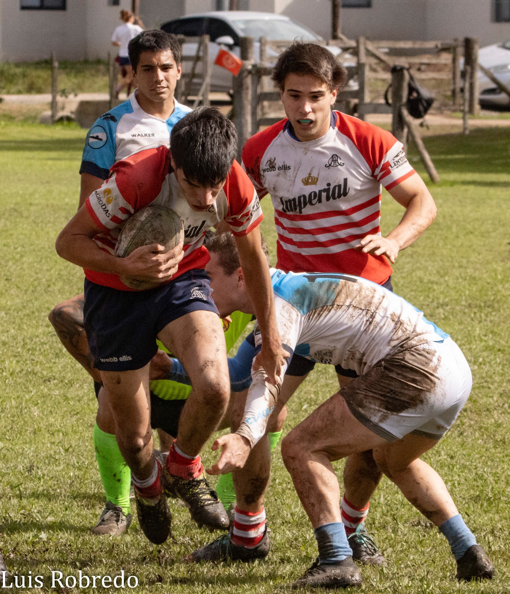  Areco Rugby Club - Centro Naval - Rugby - URBA 2024 - 1ra C - Areco RC (10) vs (45) Centro Naval (#URBA241CARECNA04) Photo by: Luis Robredo | Siuxy Sports 2024-04-26