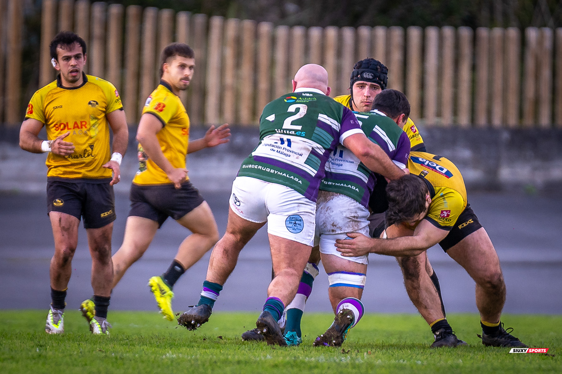 Pablo NOLASCO PEREZ - Juan Cruz RODRIGUEZ HERRERA - Iker VIANA DE ARIÑO -  Getxo Artea Rugby Taldea - Club Rugby Málaga - Rugby - FER 2024 - DHB - Getxo RT (52) vs (10) CR Malaga (#FER24DGBGETMAL02) Photo by: Fredy Monfoto | Siuxy Sports 2024-02-10