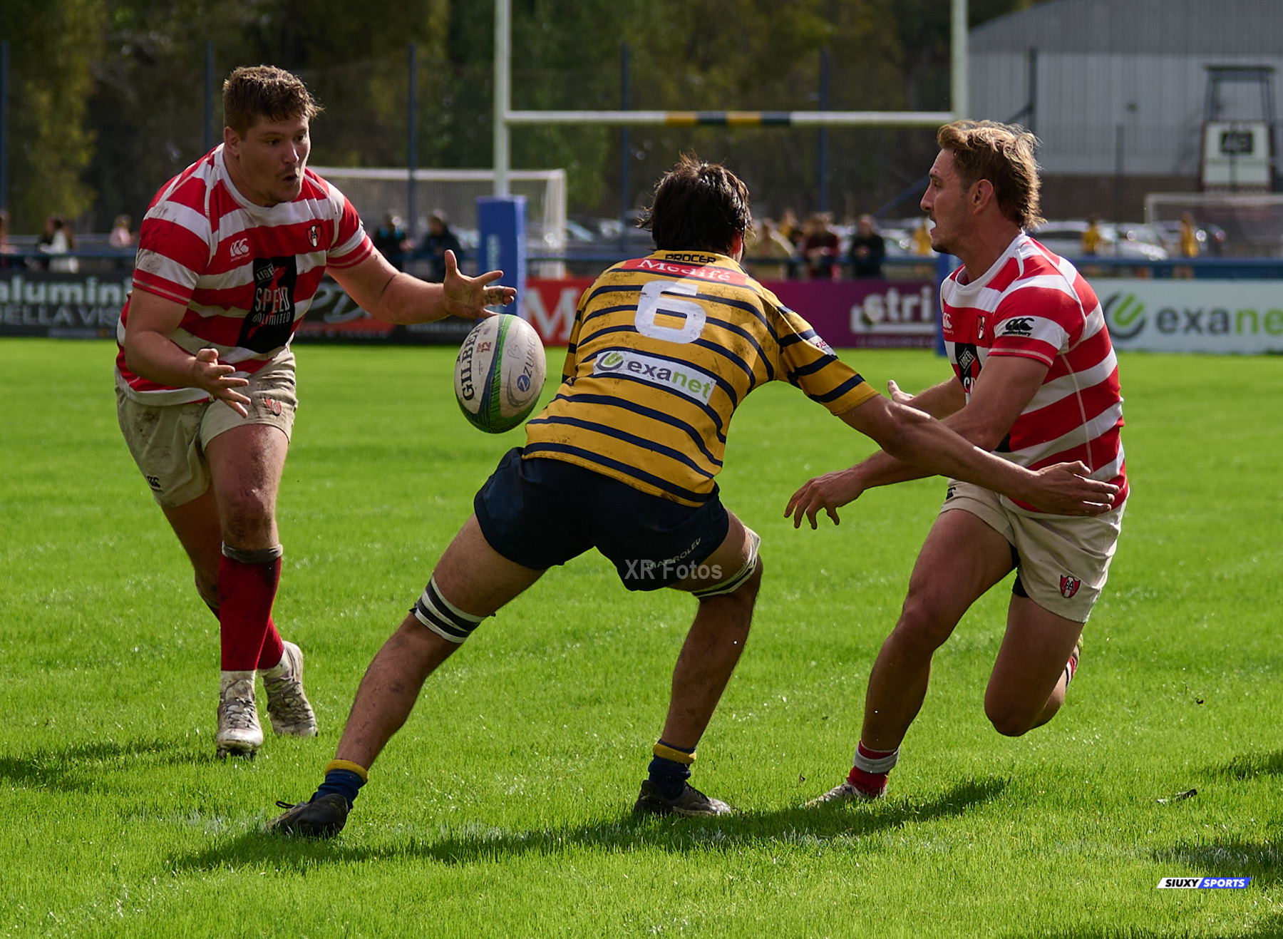  Club Regatas de Bella Vista - Asociación Alumni - Rugby - URBA 2024 - Top 12 Intermedia - Regatas BV (19) vs (26) Asociacion Alumni (#URBA24T12ALURBV14) Photo by: Ximena Rebecchi | Siuxy Sports 2024-04-27