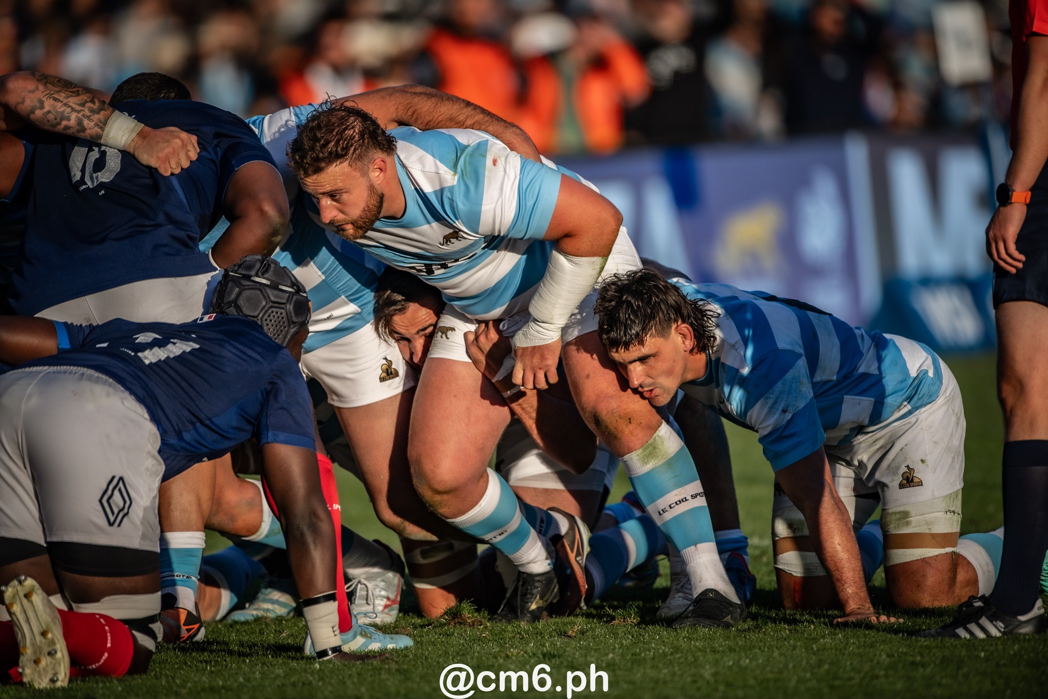 Pablo MATERA -  Selección Argentina de Rugby XV - Équipe de France de rugby à XV - Rugby - 2024 - Los Pumas - Argentina (13) vs (28) Francia (#2024PUMFRA07) Photo by: Christian Mas | Siuxy Sports 2024-07-06