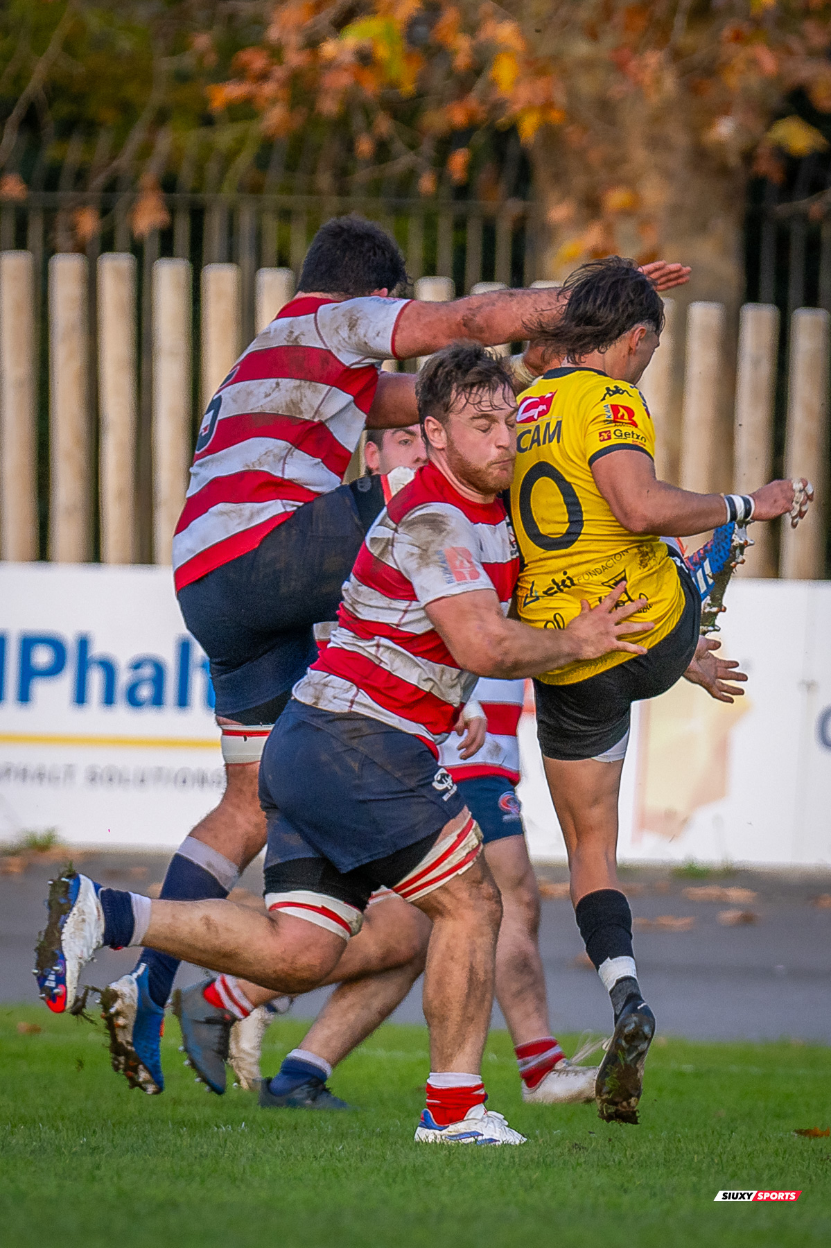  Getxo Artea Rugby Taldea - Universitario Bilbao Rugby - Rugby - FER 2024 - DHB - Getxo RT (35) vs (14) Universitario Bilbao Rugby (#FER24DHBGRTUBR11) Photo by: Fredy Monfoto | Siuxy Sports 2024-11-30
