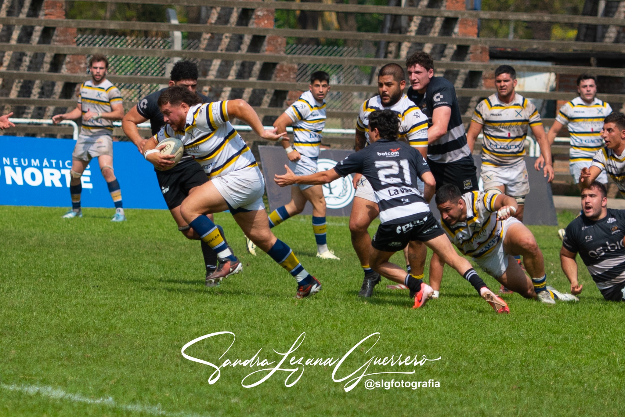  Tucumán Lawn Tennis Club - Tala Rugby Club - Rugby - UAR - Nacional de Clubes 2024 - Tucuman Lawn Tennis vs Tala (#UAR24NCTCLTTC09) Photo by: Sandra Lezana Guerrero | Siuxy Sports 2024-09-21