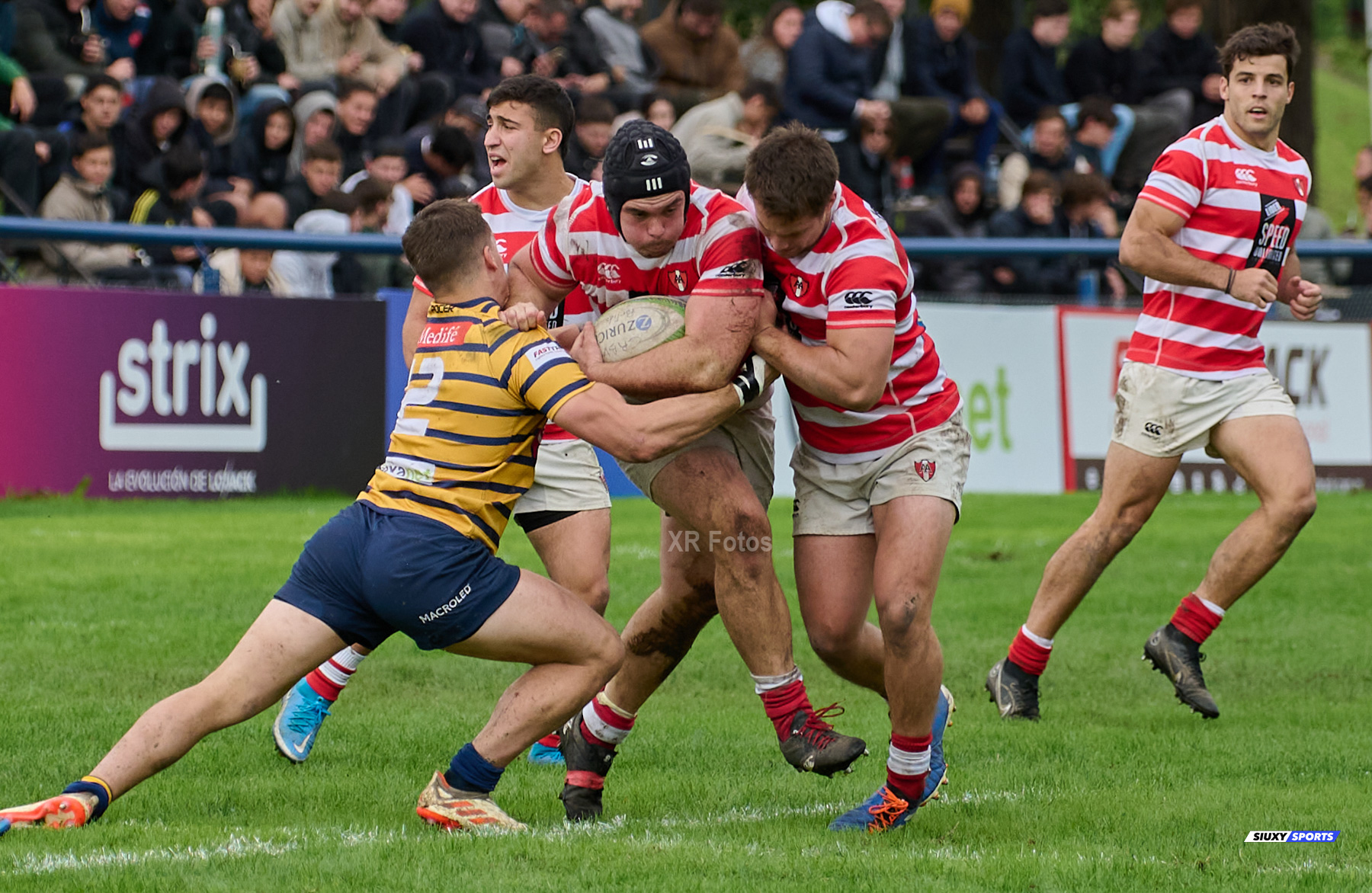  Club Regatas de Bella Vista - Asociación Alumni - Rugby - URBA 2024 - Top 12 Intermedia - Regatas BV (19) vs (26) Asociacion Alumni (#URBA24T12ALURBV14) Photo by: Ximena Rebecchi | Siuxy Sports 2024-04-27