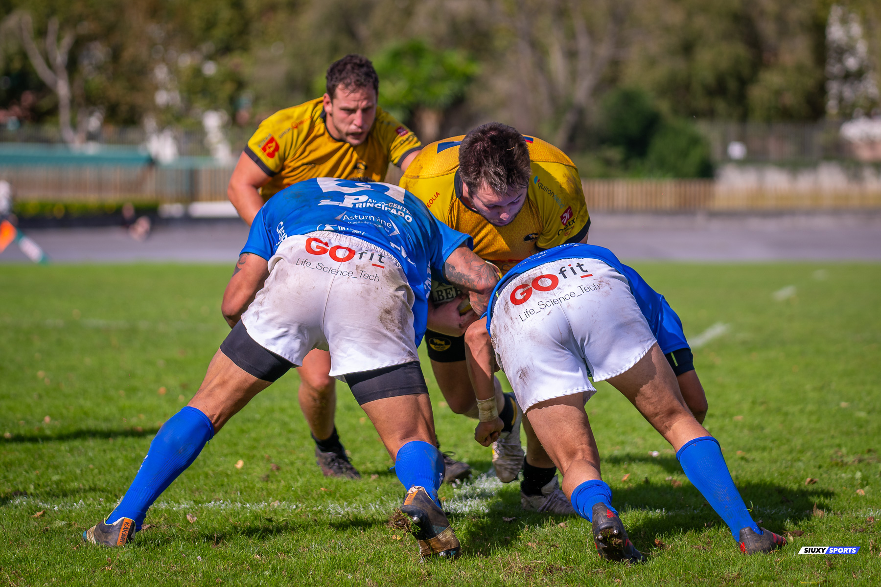 Iñigo VITERI IBARRA -  Getxo Artea Rugby Taldea - Real Oviedo Rugby - Rugby - FER 2023 - DHB - Getxo RT (75) vs (5) Real Oviedo Rugby (#FER23DHBGEROR10) Photo by: Fredy Monfoto | Siuxy Sports 2023-10-22