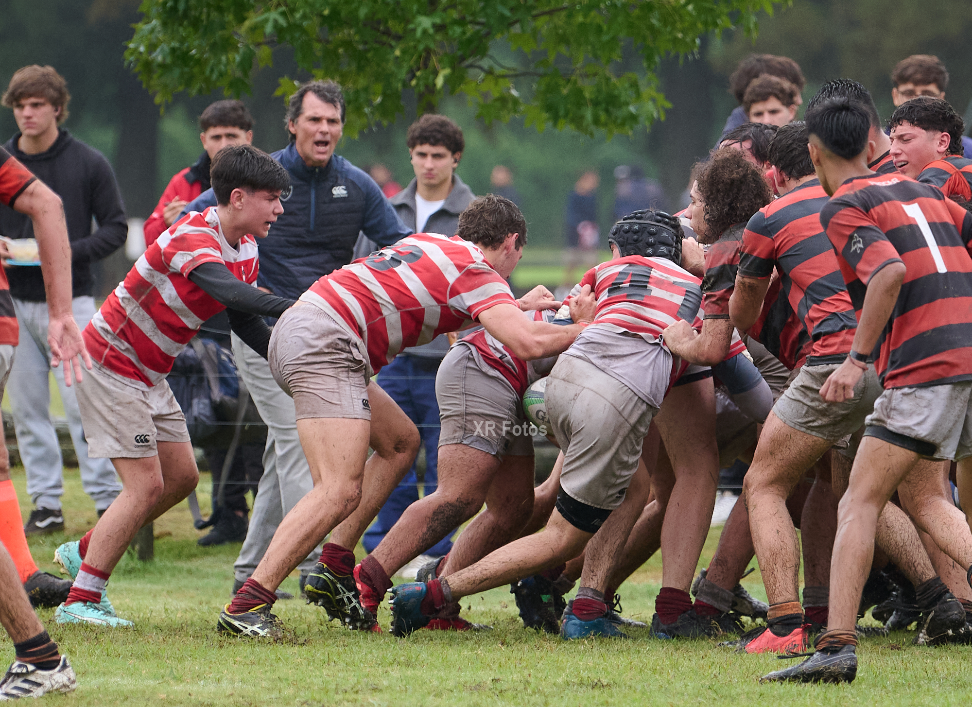  Asociación Alumni - Olivos Rugby Club - Rugby - URBA M19 - 2024 - Alumni vs Olivos RC (#URBA24M19AAORC04) Photo by: Ximena Rebecchi | Siuxy Sports 2024-04-14