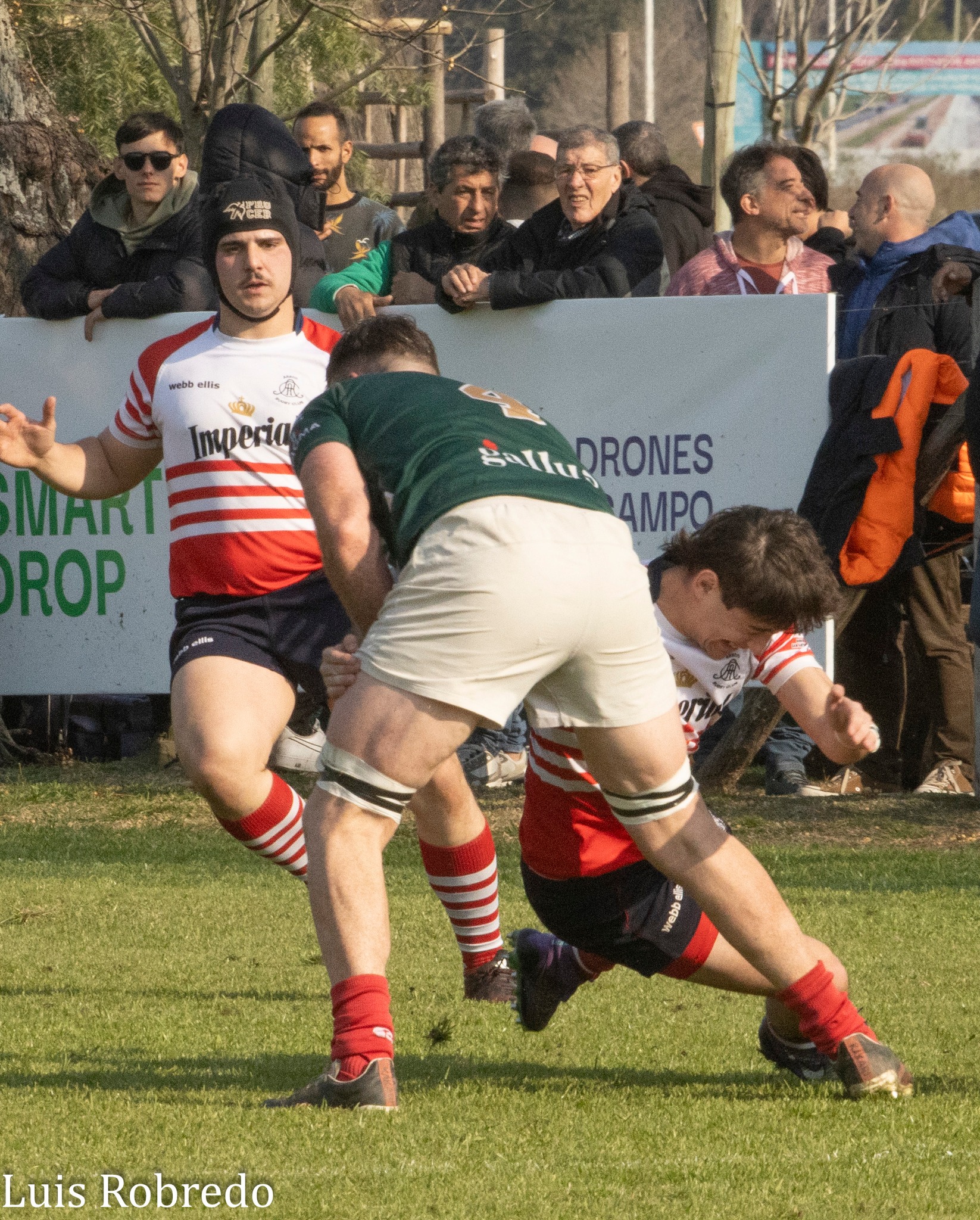  Areco Rugby Club - Sociedad Italiana de Tiro al Segno - Rugby - URBA 2024 - 1C - Areco (14) vs (59) SITAS (#URBA241CARESIT08) Photo by: Luis Robredo | Siuxy Sports 2024-08-17