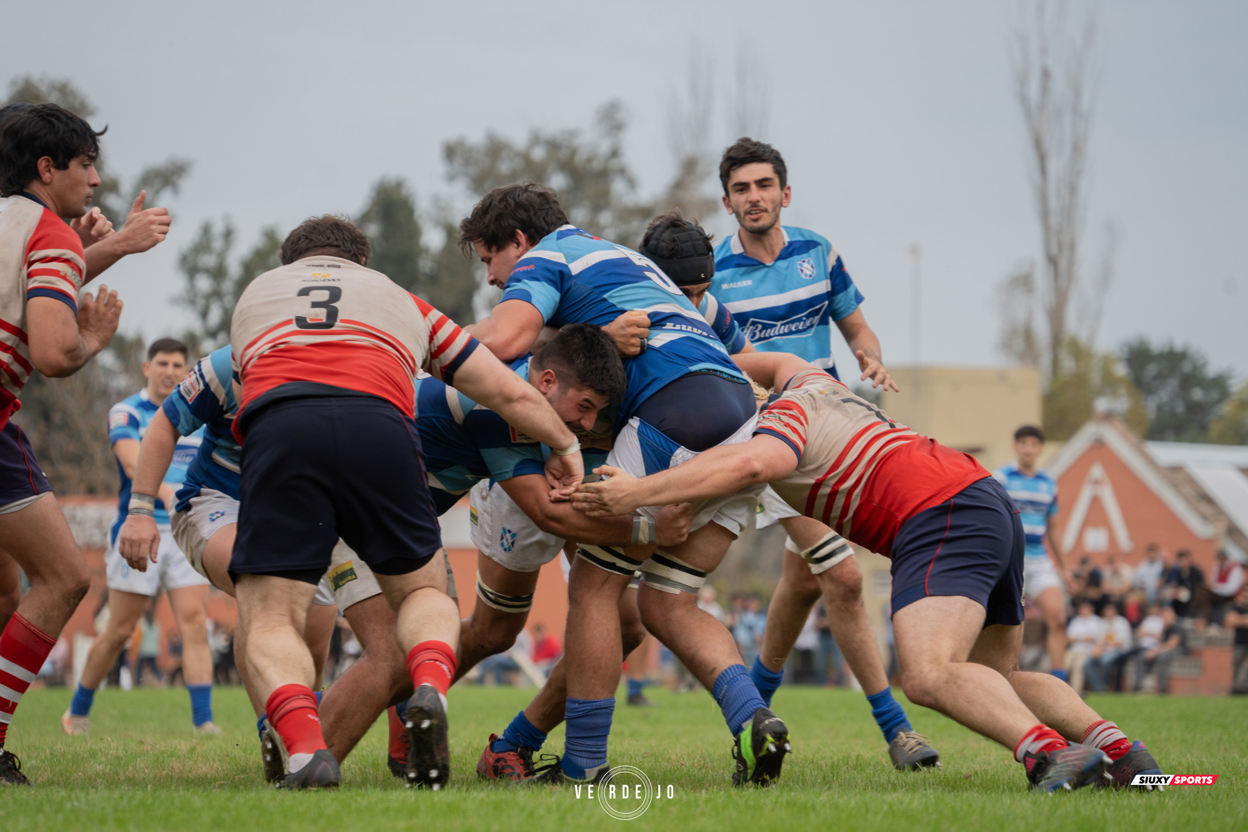  Luján Rugby Club - Areco Rugby Club - Rugby - URBA 2024 - 1ra C - Lujan RC (27) vs (0) Areco RC (#URBA241CLUJARE06) Photo by: Ignacio Verdejo | Siuxy Sports 2024-06-08