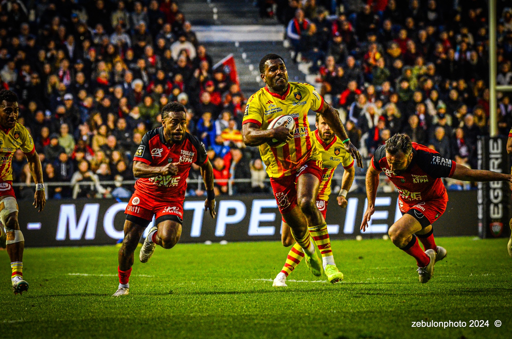 Alivereti DUGUIVALU -  RC Toulonnais - US Arlequins Perpignanais - Rugby - TOP 14 - Toulon (44) vs (22) Perpignan (#TOP1424RCTUSAP03) Photo by: Photo Zebulon | Siuxy Sports 2024-03-02