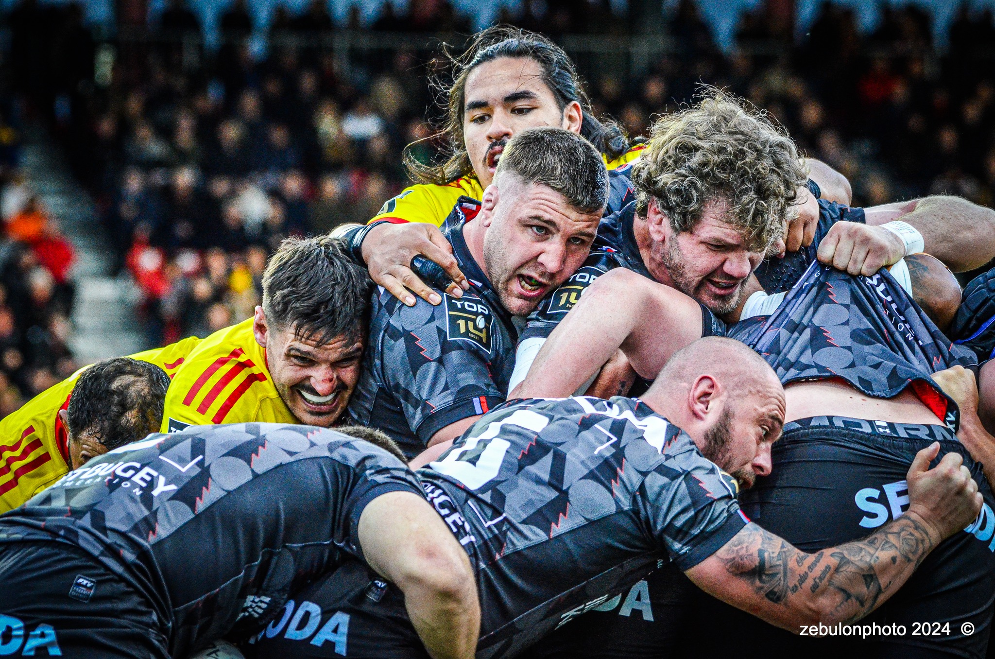  US Oyonnax Rugby - US Arlequins Perpignanais - Rugby - FFR - 2024 Top14 - Oyonnax (14) vs (15) USAP (#FFR24T14OYPP03) Photo by: Photo Zebulon | Siuxy Sports 2024-03-23