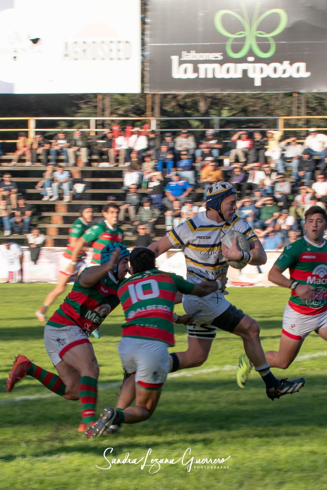  Tucumán Lawn Tennis Club - Huirapuca Social Club - Rugby - URT 2024 - Tucuman Lawn Tennis (42) vs (20) Huirapuca Social Club (#URT24TLTHUI05) Photo by: Sandra Lezana Guerrero | Siuxy Sports 2024-05-19