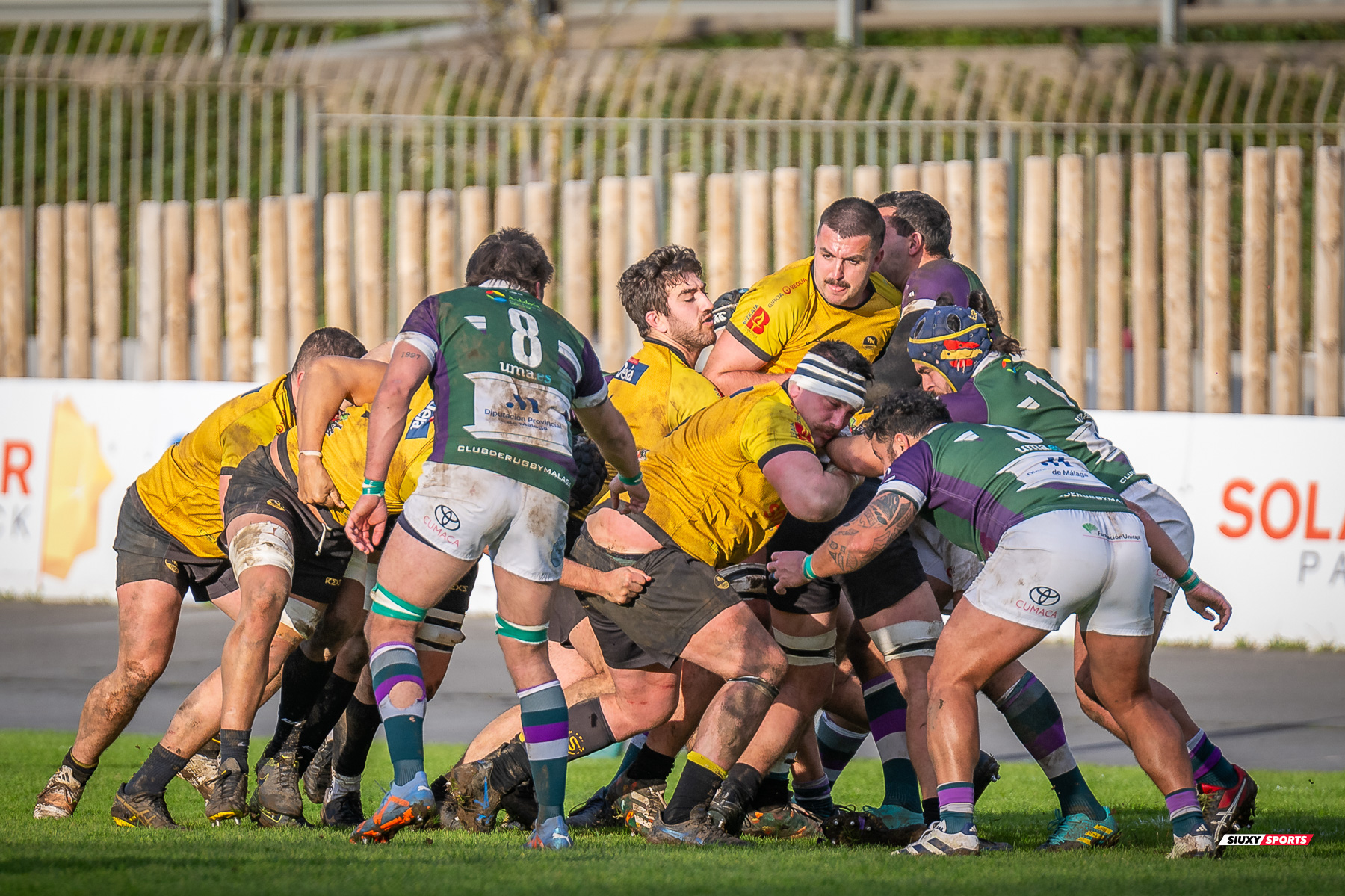 Mattew Edward BROADBENT - Gonzalo PEREZ AGRASAR -  Getxo Artea Rugby Taldea - Club Rugby Málaga - Rugby - FER 2024 - DHB - Getxo RT (52) vs (10) CR Malaga (#FER24DGBGETMAL02) Photo by: Fredy Monfoto | Siuxy Sports 2024-02-10