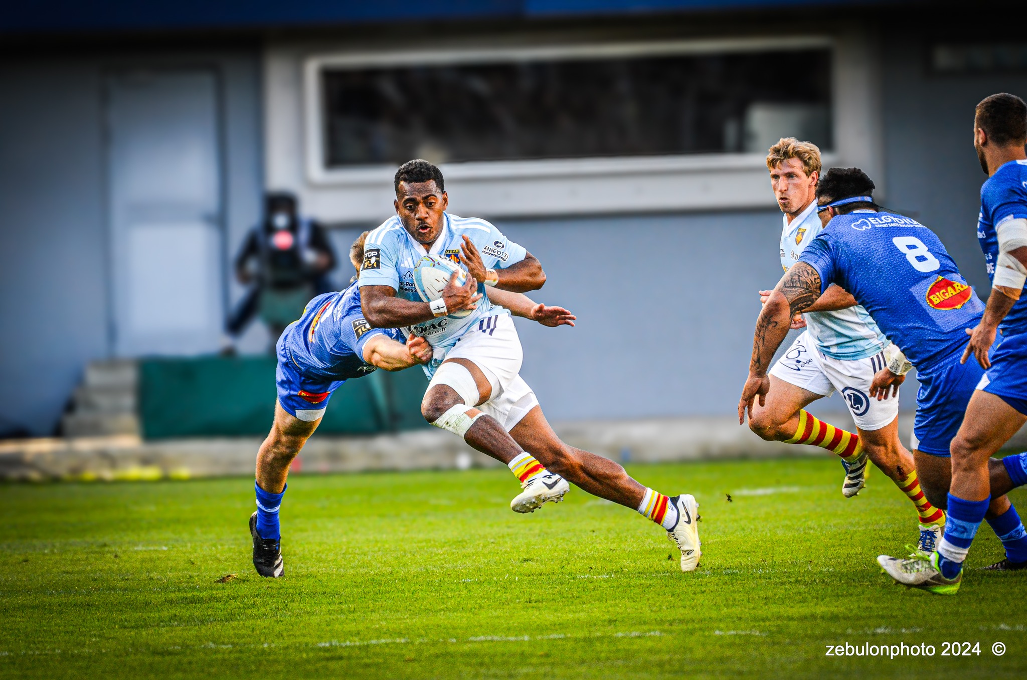  US Arlequins Perpignanais - Castres Olympique - Rugby - FFR 2024 - Top14 - USAP (43) vs (12) Castres  (#FFR24TOPPERCAS03) Photo by: Photo Zebulon | Siuxy Sports 2024-03-30