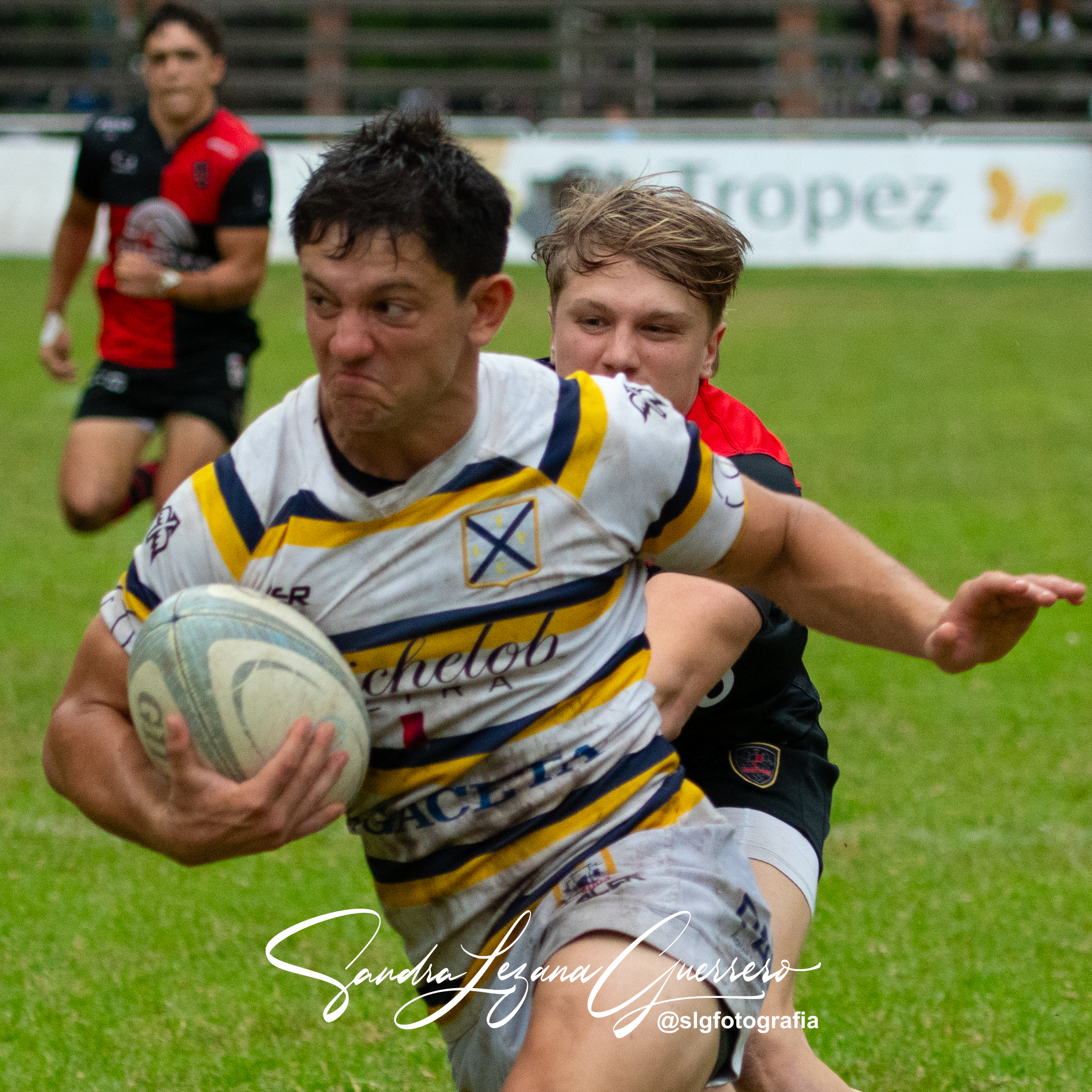  Tucumán Lawn Tennis Club - Córdoba Athletic - Rugby - UAR - Torneo del Interior 2024 - Tucuman Lawn Tennis Club (24) vs (15) Cordoba Athletic (#UAR24TITLTCCA11) Photo by: Sandra Lezana Guerrero | Siuxy Sports 2024-11-02