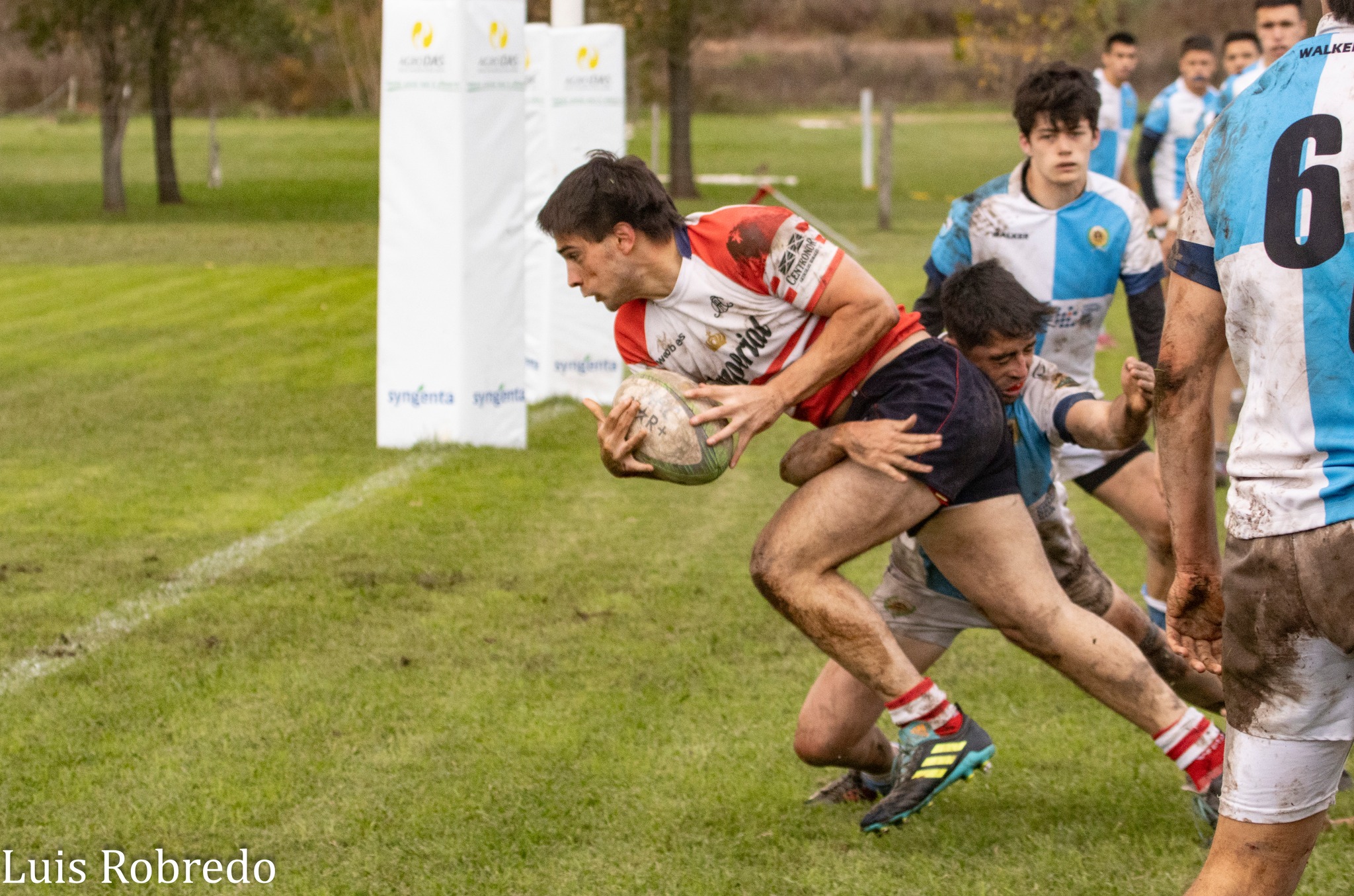  Areco Rugby Club - Centro Naval - Rugby - URBA 2024 - 1ra C - Areco RC (10) vs (45) Centro Naval (#URBA241CARECNA04) Photo by: Luis Robredo | Siuxy Sports 2024-04-26