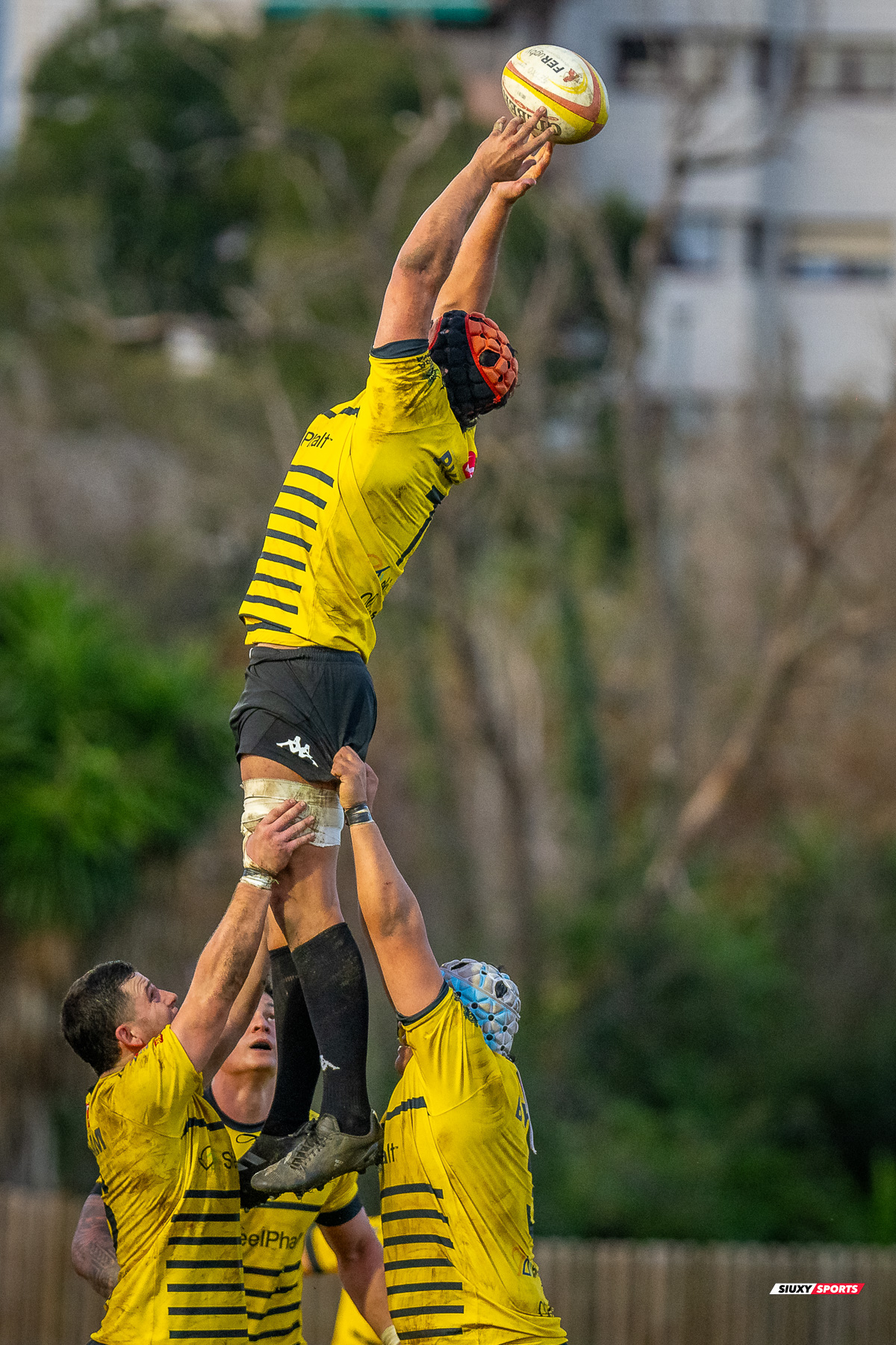  Getxo Artea Rugby Taldea - Universitario Bilbao Rugby - Rugby - FER 2024 - DHB - Getxo RT (35) vs (14) Universitario Bilbao Rugby (#FER24DHBGRTUBR11) Photo by: Fredy Monfoto | Siuxy Sports 2024-11-30
