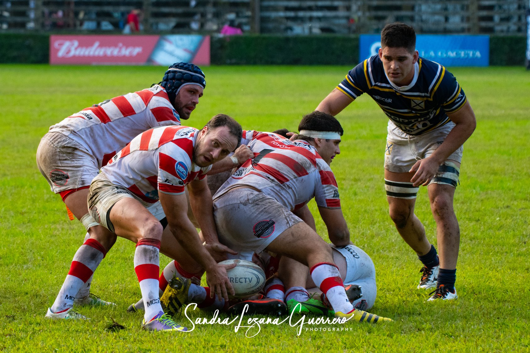  Tucumán Lawn Tennis Club - Santiago Lawn Tennis - Rugby - UAR - Torneo del Interior 2019 - Tucuman Lawn Tennis vs Santiago Lawn Tennis (#UAR19TDITLTSLT06) Photo by: Sandra Lezana Guerrero | Siuxy Sports 2019-06-01