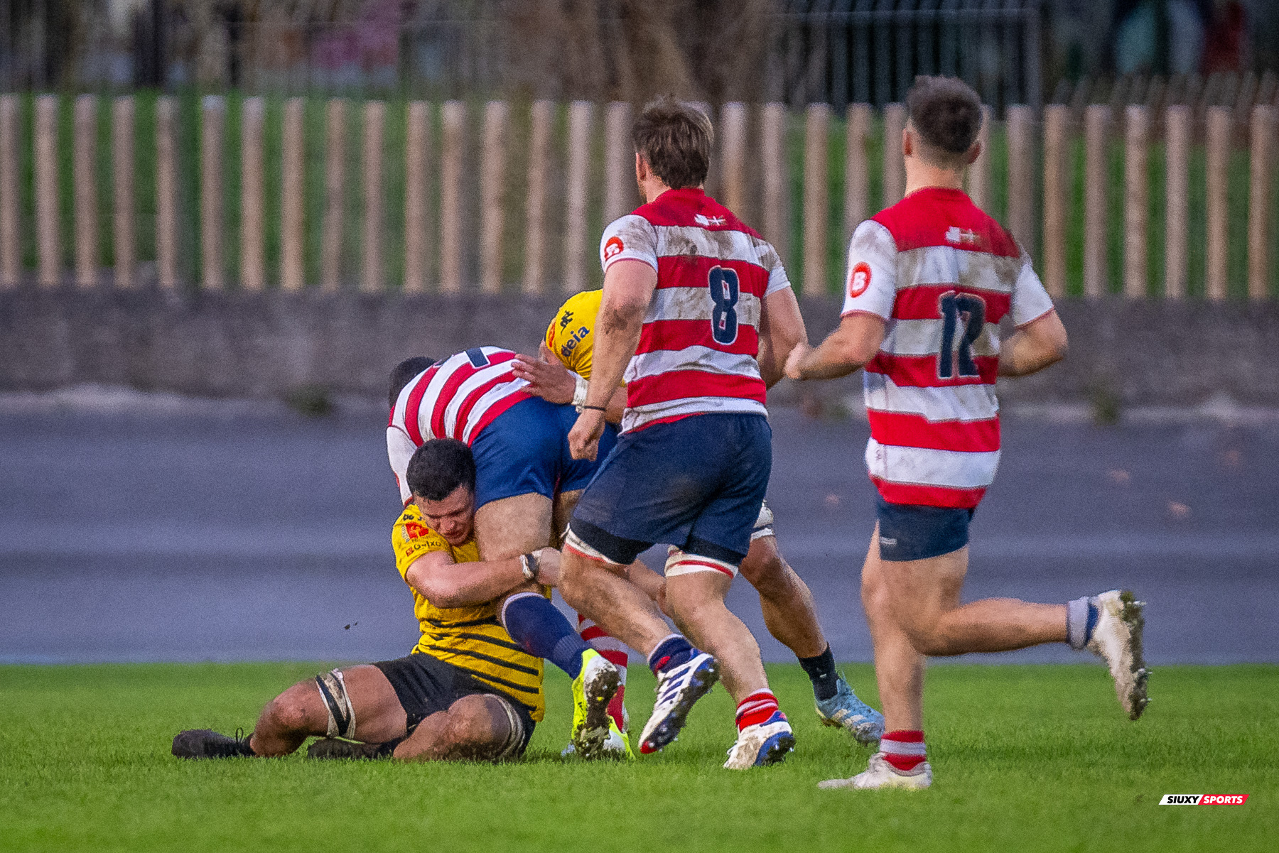  Getxo Artea Rugby Taldea - Universitario Bilbao Rugby - Rugby - FER 2024 - DHB - Getxo RT (35) vs (14) Universitario Bilbao Rugby (#FER24DHBGRTUBR11) Photo by: Fredy Monfoto | Siuxy Sports 2024-11-30