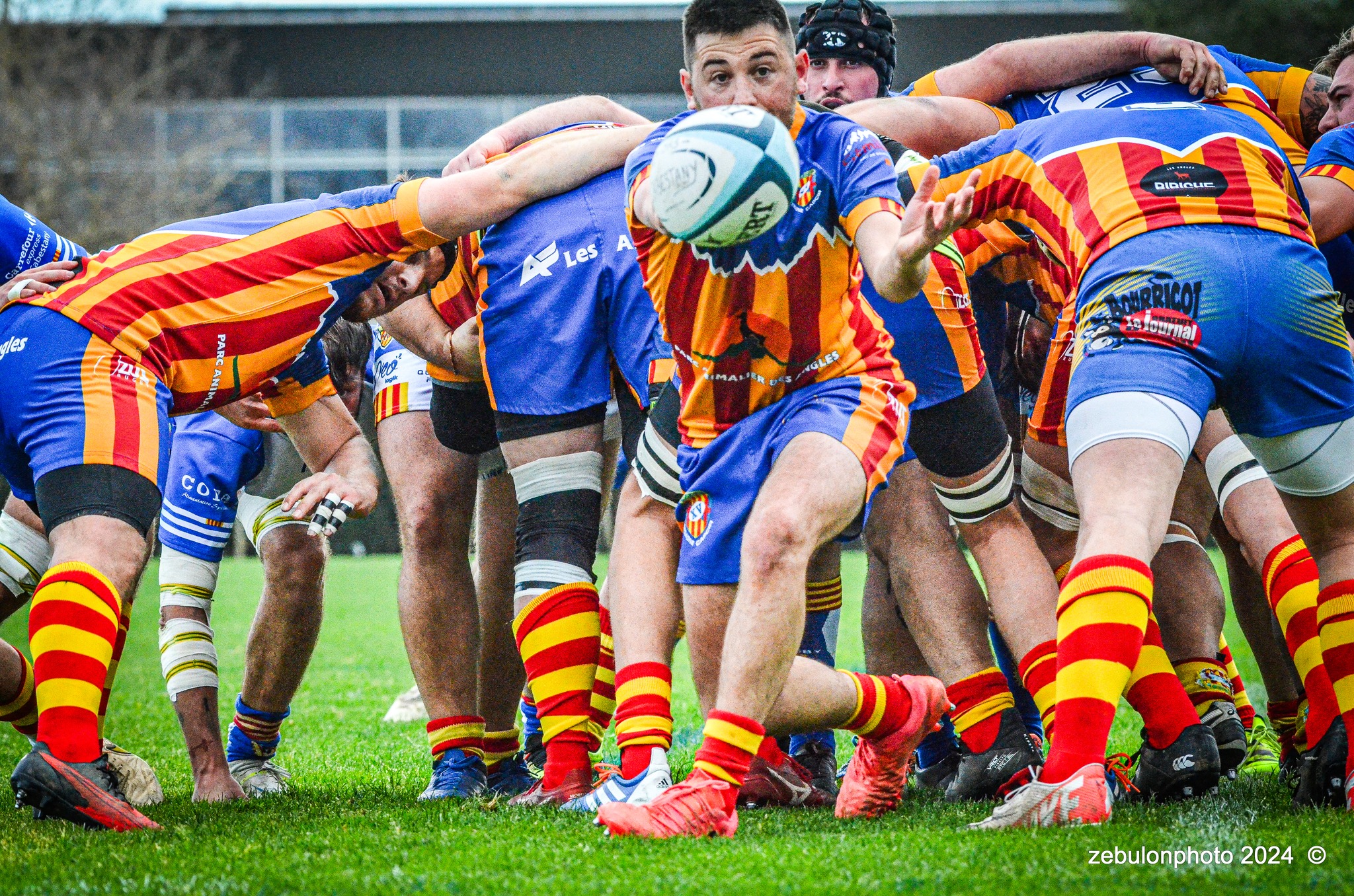  Cabestany Olympique XV - Rugby Athlétique Cerdagne Capcir - Rugby - Ligue Occitanie - Cabestany vs Cerdagne Capcir (#LO24CABRACC01) Photo by: Photo Zebulon | Siuxy Sports 2024-01-27