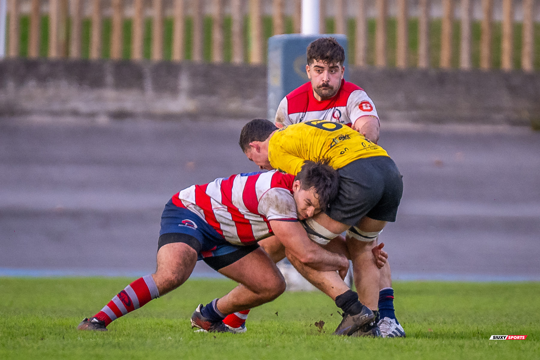  Getxo Artea Rugby Taldea - Universitario Bilbao Rugby - Rugby - FER 2024 - DHB - Getxo RT (35) vs (14) Universitario Bilbao Rugby (#FER24DHBGRTUBR11) Photo by: Fredy Monfoto | Siuxy Sports 2024-11-30