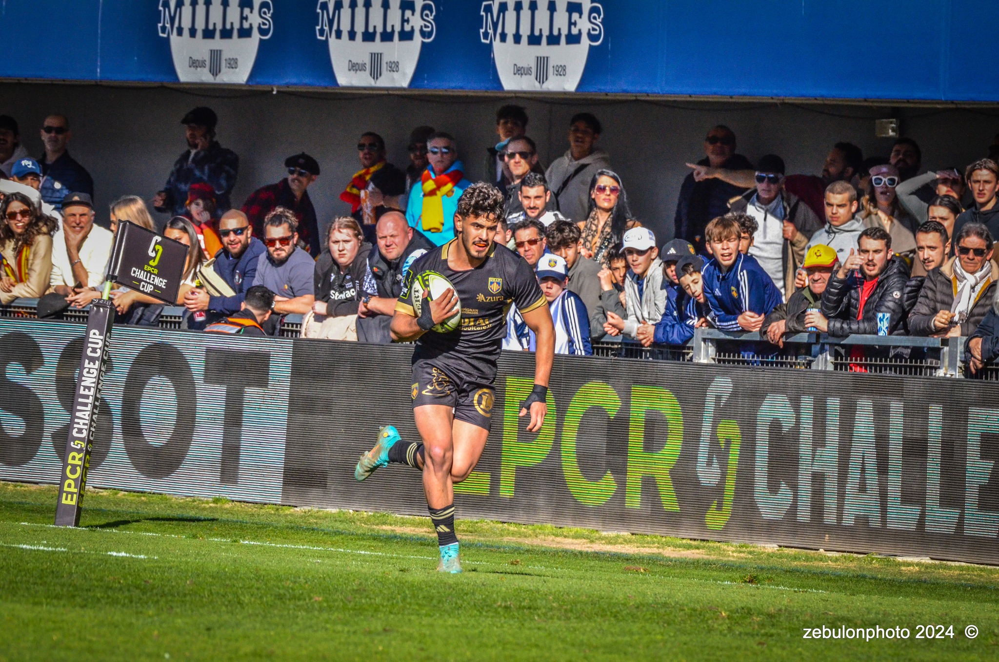  US Arlequins Perpignanais - Newcastle Falcons - Rugby - Challenge Cup - Perpignan (23) vs (32) Newcastle Falcons (#CC24USAPNF01) Photo by: Photo Zebulon | Siuxy Sports 2024-01-21