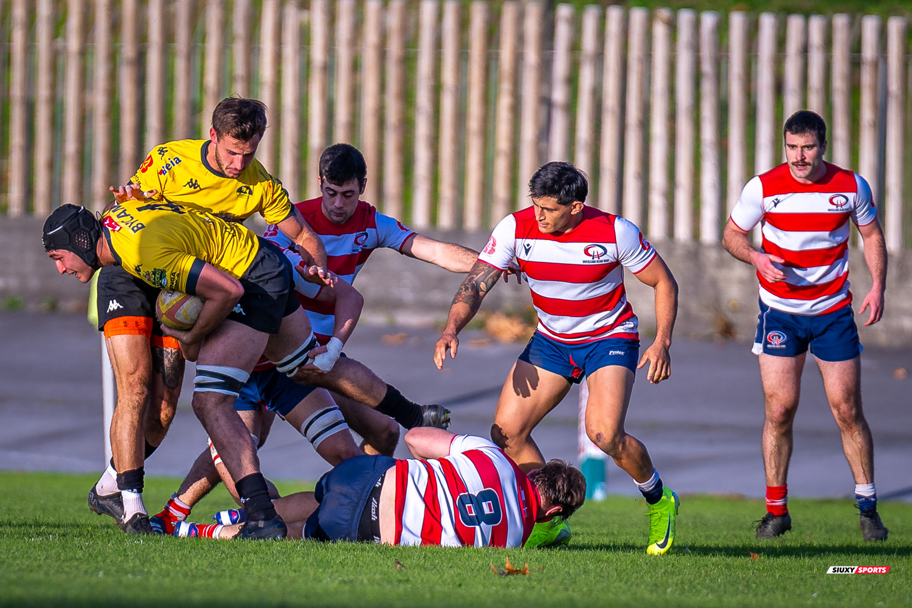  Getxo Artea Rugby Taldea - Universitario Bilbao Rugby - Rugby - FER 2024 - DHB - Getxo RT (35) vs (14) Universitario Bilbao Rugby (#FER24DHBGRTUBR11) Photo by: Fredy Monfoto | Siuxy Sports 2024-11-30