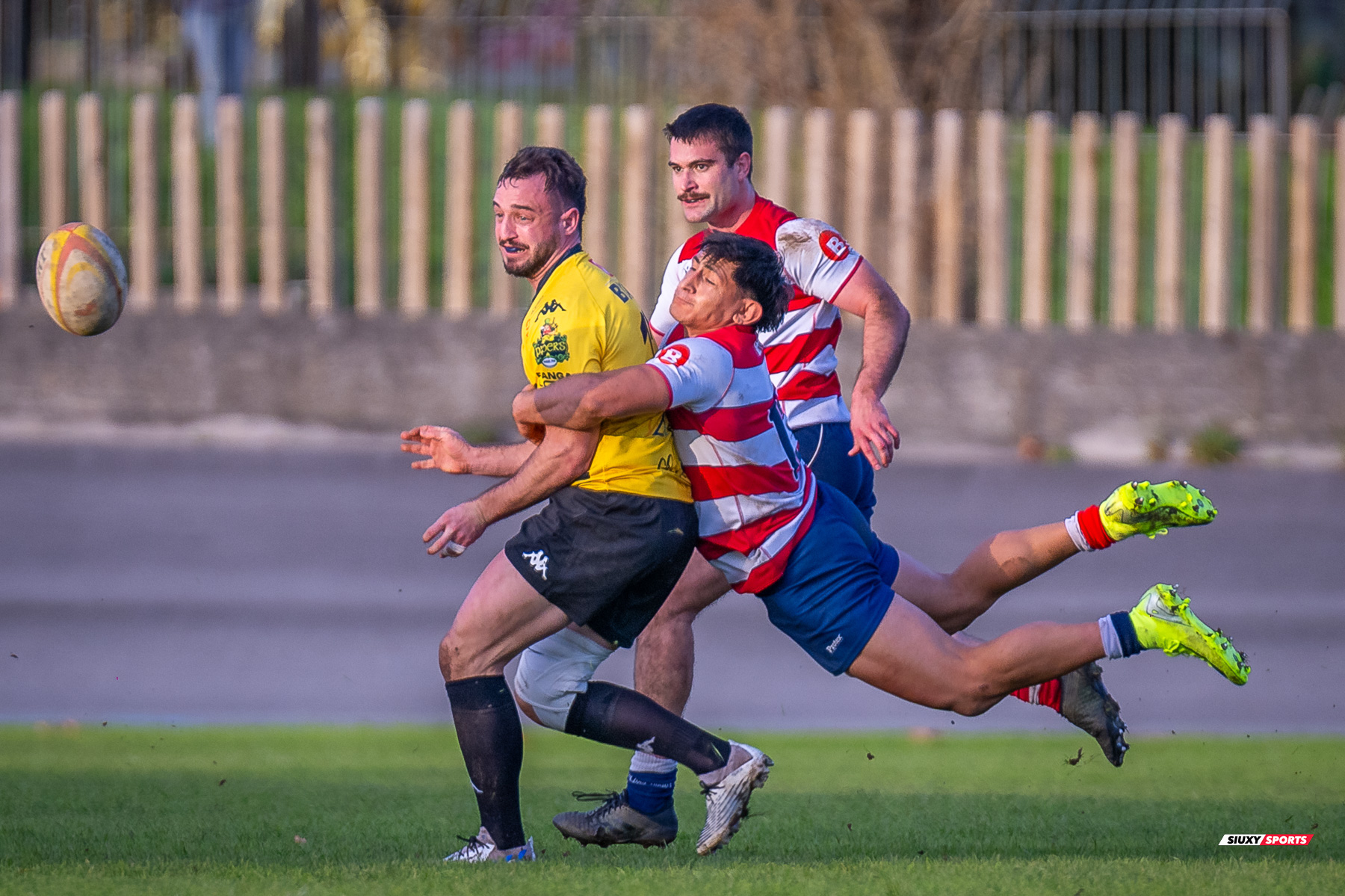  Getxo Artea Rugby Taldea - Universitario Bilbao Rugby - Rugby - FER 2024 - DHB - Getxo RT (35) vs (14) Universitario Bilbao Rugby (#FER24DHBGRTUBR11) Photo by: Fredy Monfoto | Siuxy Sports 2024-11-30
