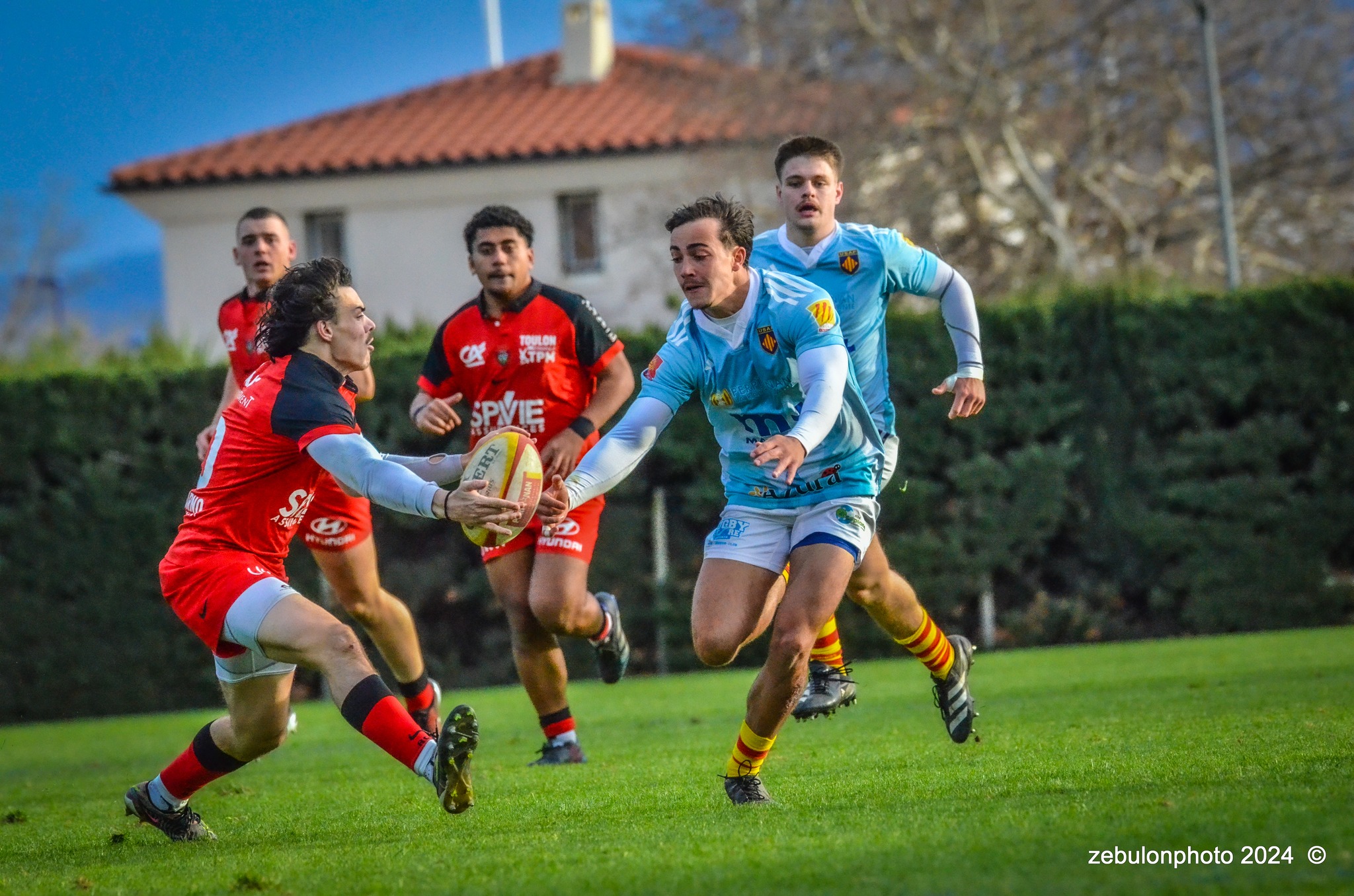  US Arlequins Perpignanais - RC Toulonnais - Rugby - Espoirs - USAP vs RCT (#ESP24USAPRCT02) Photo by: Photo Zebulon | Siuxy Sports 2024-02-10