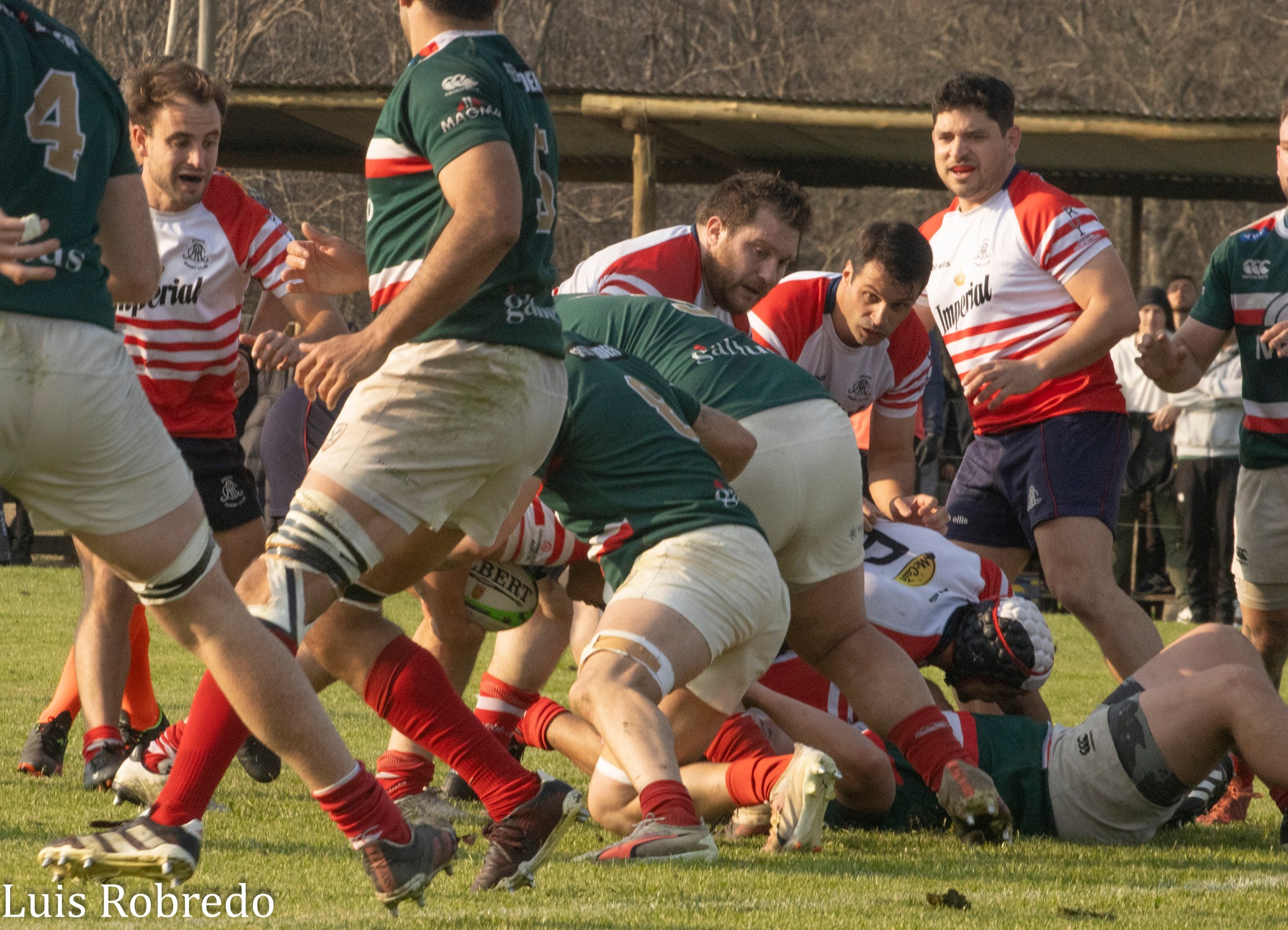  Areco Rugby Club - Sociedad Italiana de Tiro al Segno - Rugby - URBA 2024 - 1C - Areco (14) vs (59) SITAS (#URBA241CARESIT08) Photo by: Luis Robredo | Siuxy Sports 2024-08-17