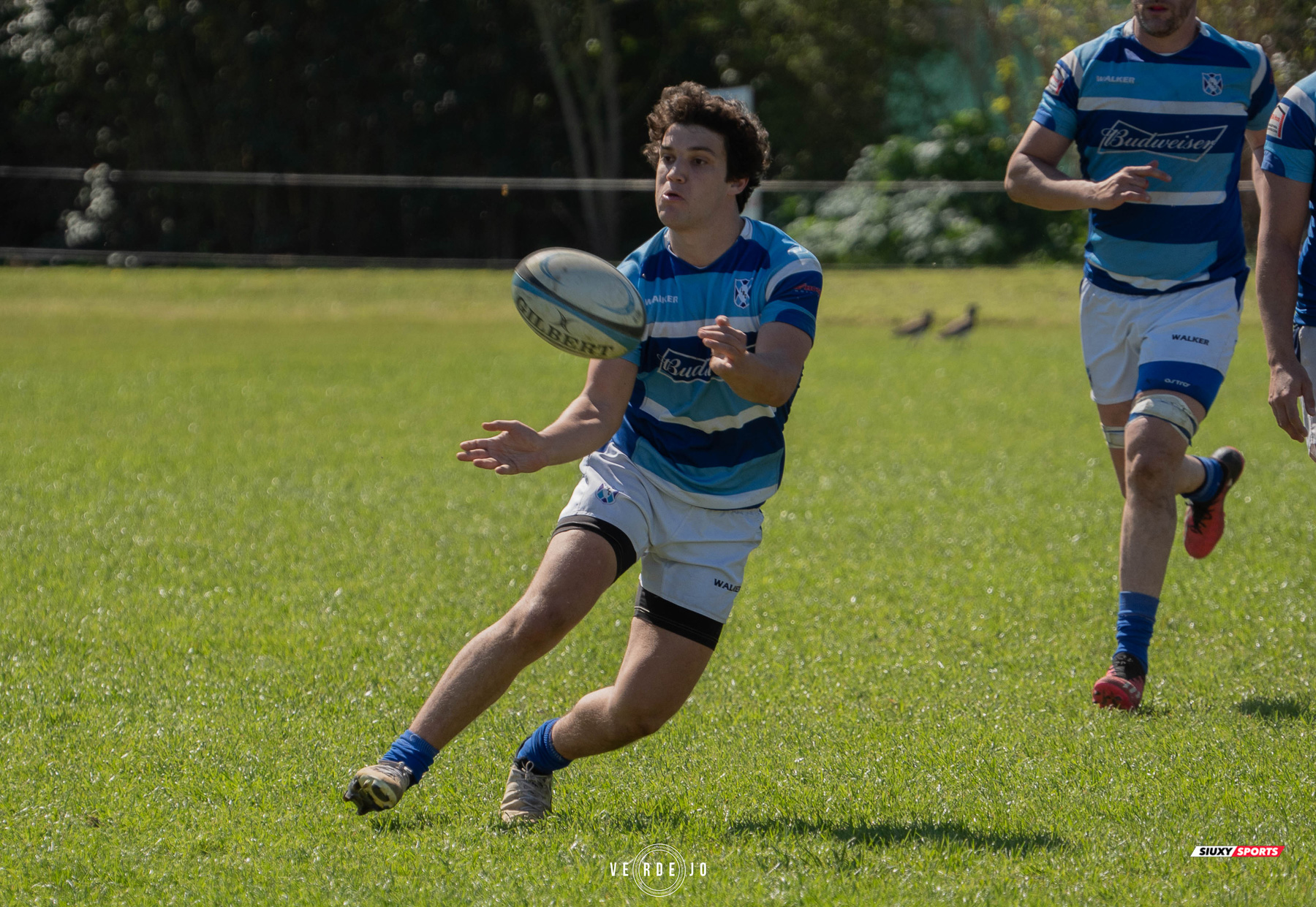  Luján Rugby Club - Club Ciudad de Buenos Aires - Rugby - URBA - 1C - Lujan RC (45) vs (0) Ciudad de Bs As (#URBA1CLRCCBA08) Photo by: Ignacio Verdejo | Siuxy Sports 2024-08-31